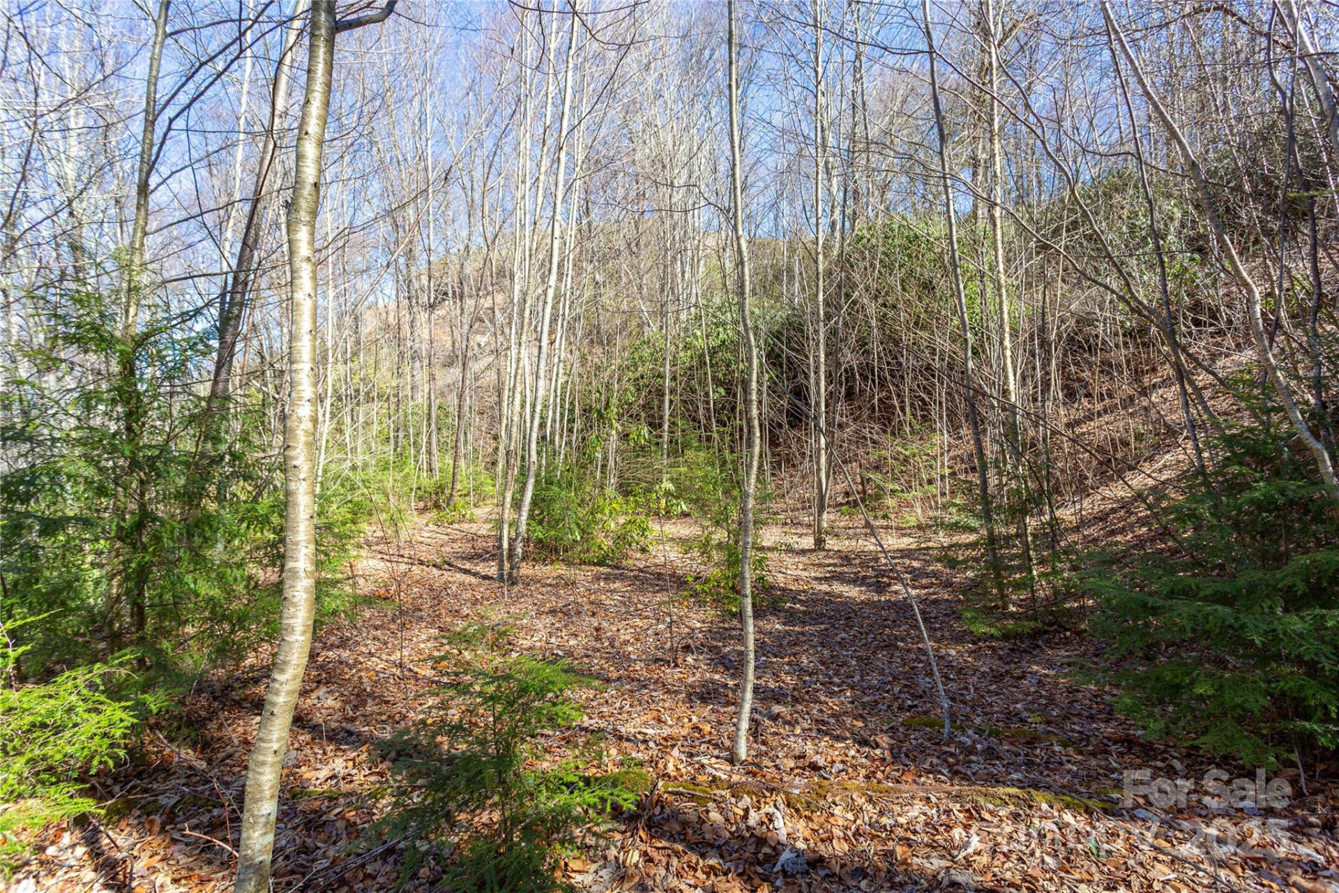 Lot 48c Bearwallow Ridge Trail #48c - Photo 20