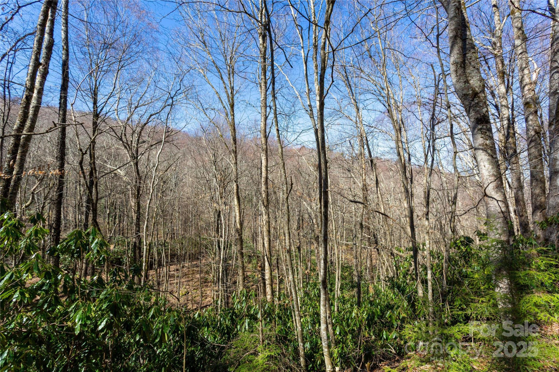 Lot 48c Bearwallow Ridge Trail #48c - Photo 21