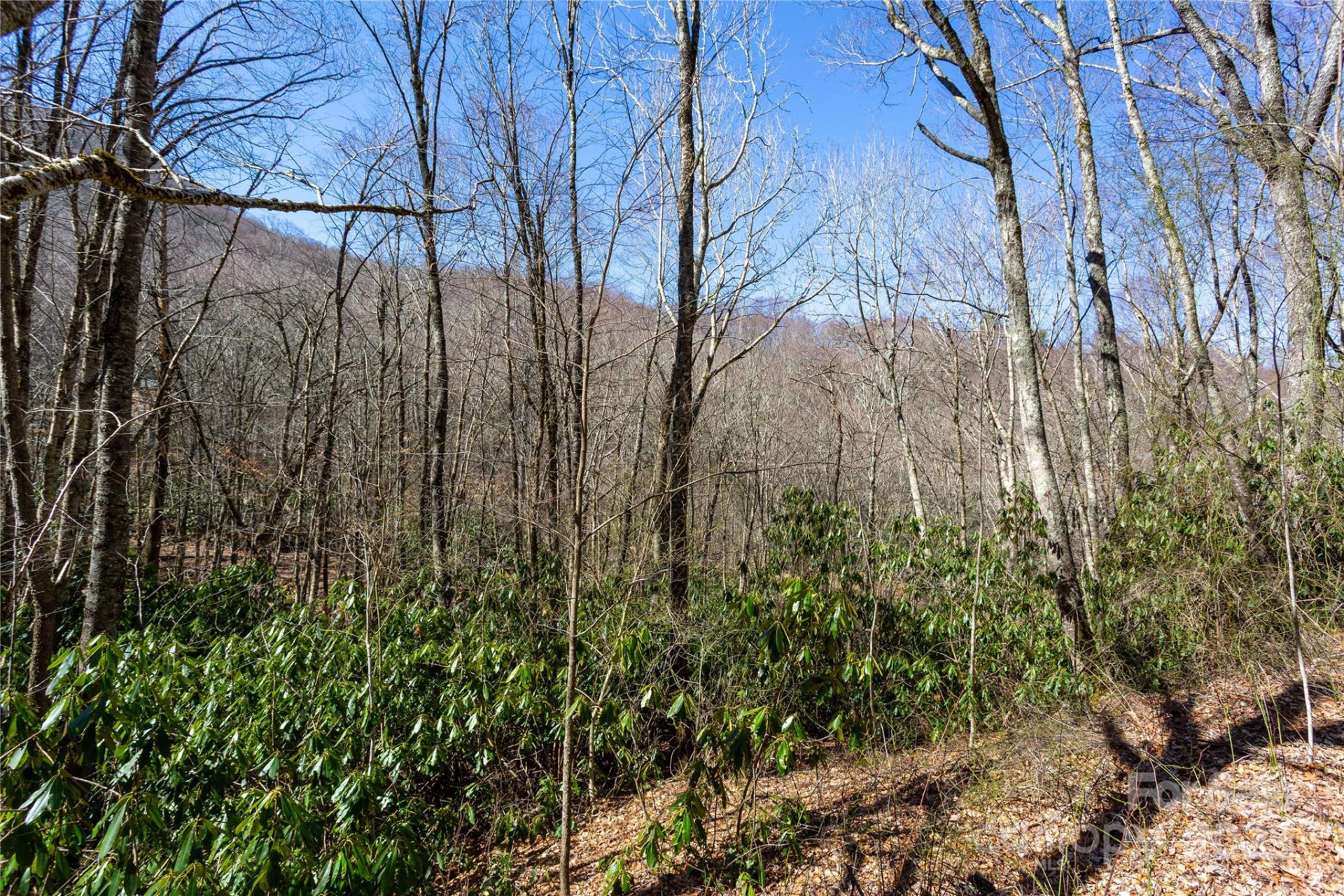 Lot 48c Bearwallow Ridge Trail #48c - Photo 22
