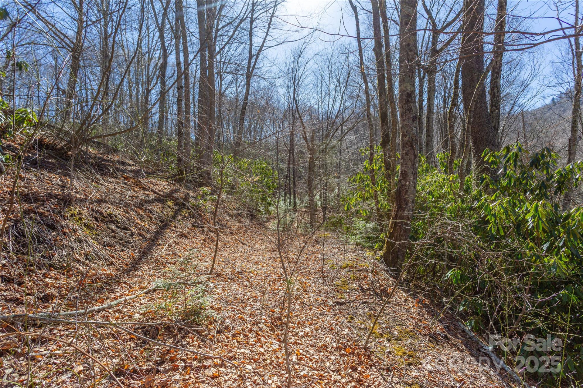 Lot 48c Bearwallow Ridge Trail #48c - Photo 23