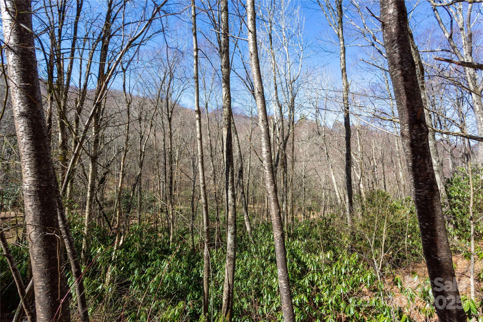Lot 48c Bearwallow Ridge Trail #48c - Photo 24