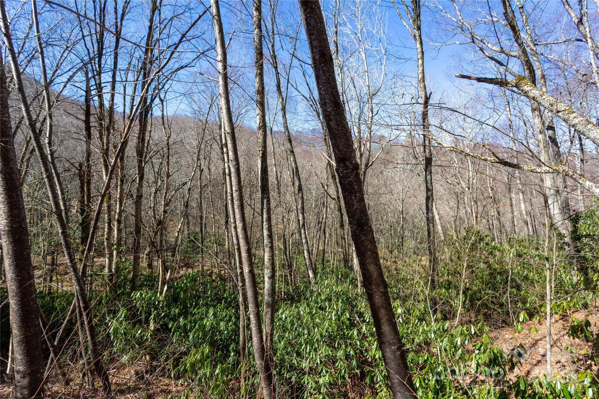 Lot 48c Bearwallow Ridge Trail #48c - Photo 25