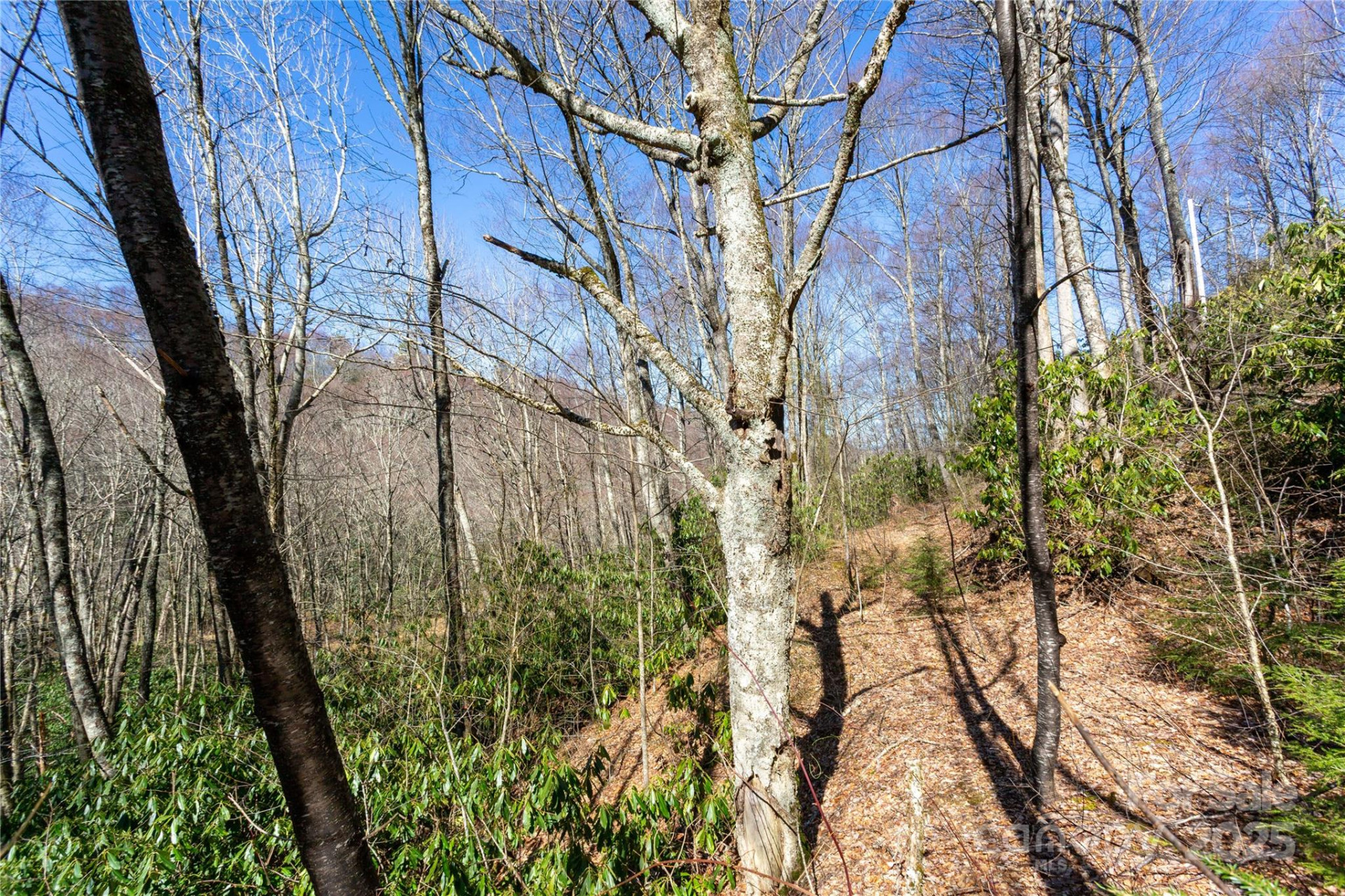 Lot 48c Bearwallow Ridge Trail #48c - Photo 26