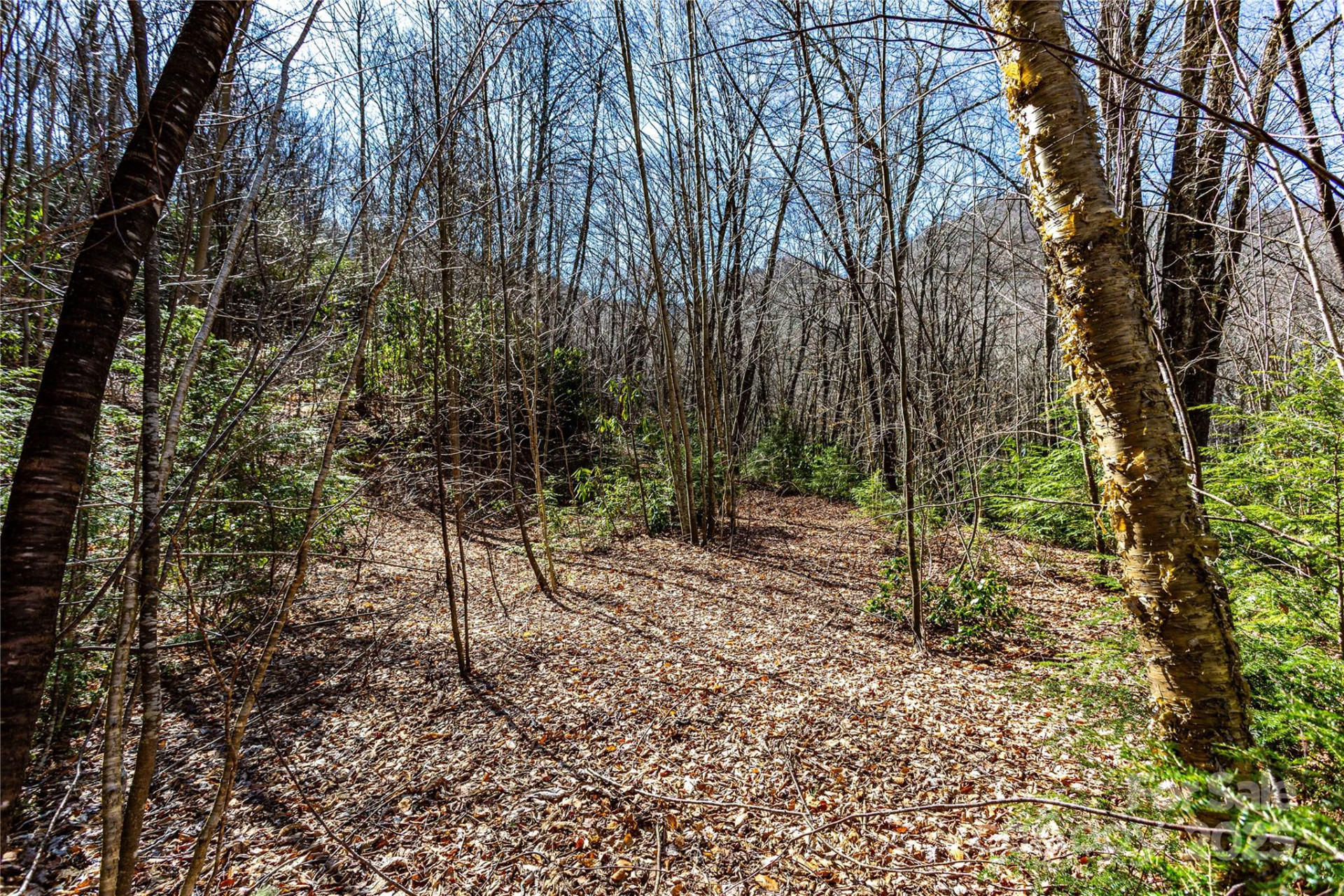 Lot 48c Bearwallow Ridge Trail #48c - Photo 27