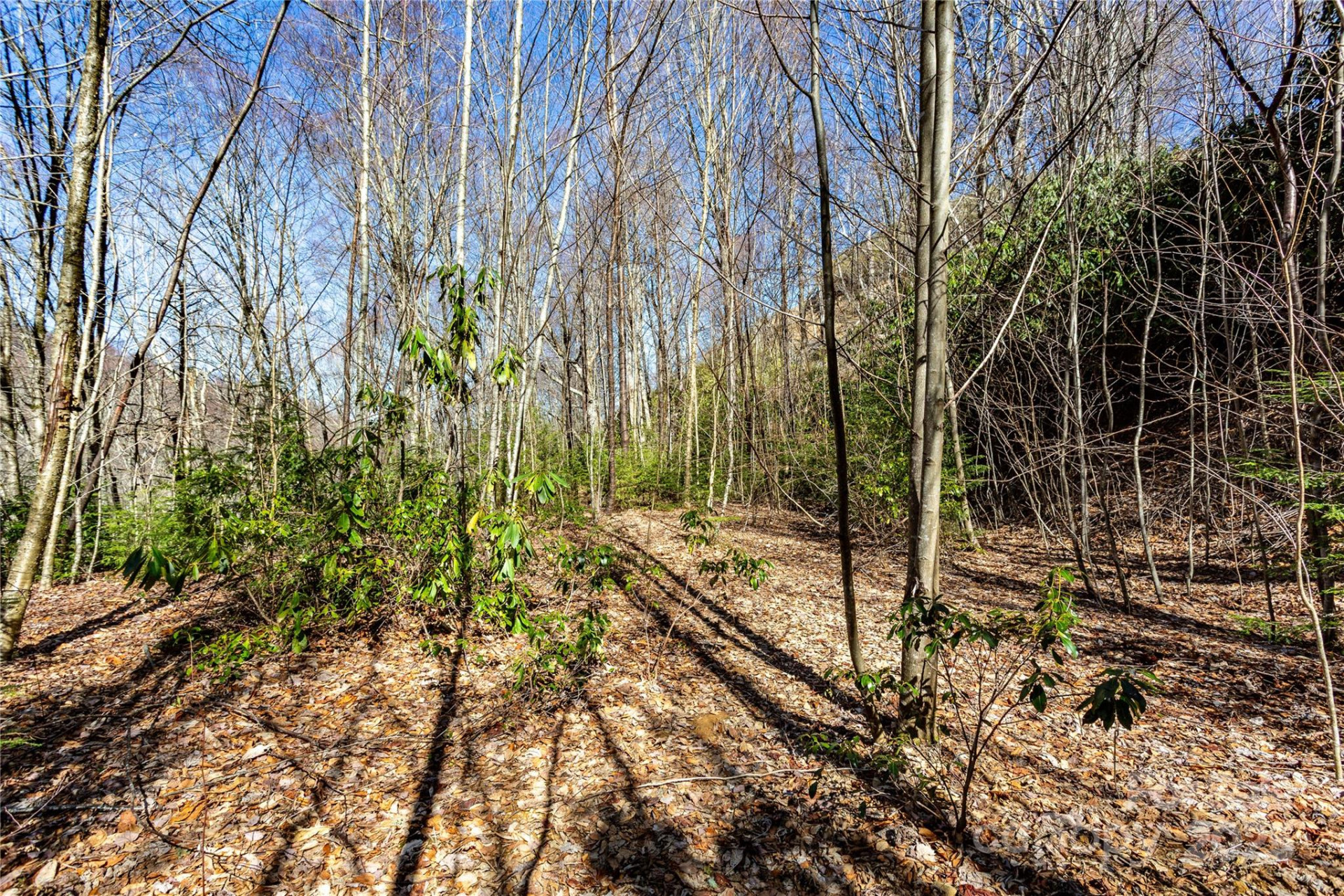 Lot 48c Bearwallow Ridge Trail #48c - Photo 28