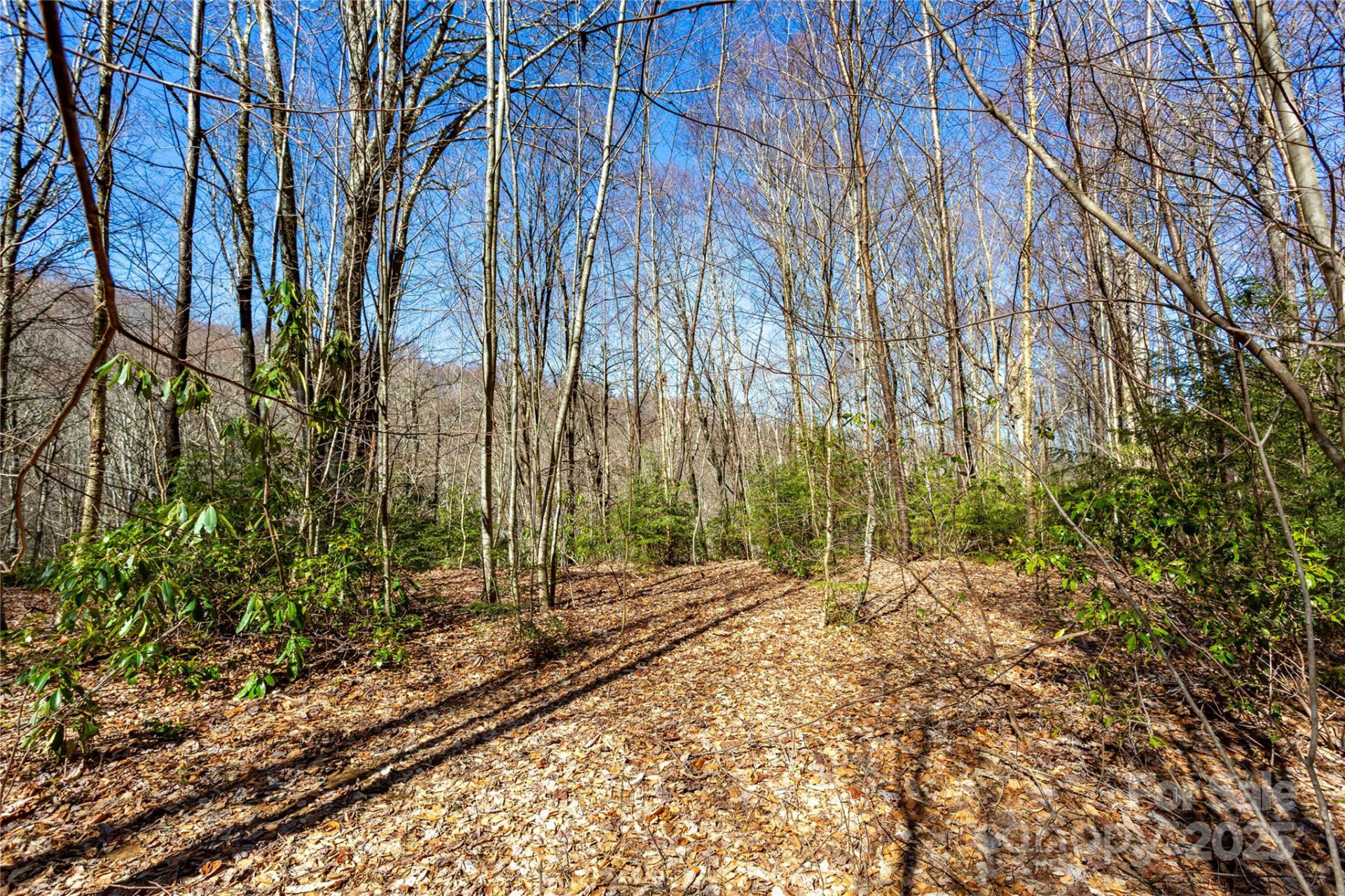 Lot 48c Bearwallow Ridge Trail #48c - Photo 29
