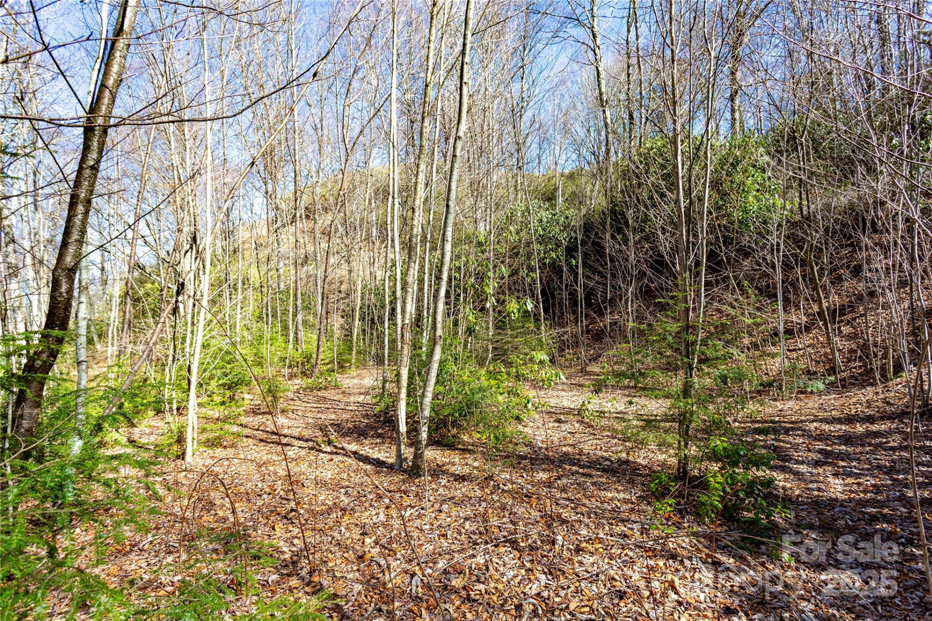 Lot 48c Bearwallow Ridge Trail #48c - Photo 30