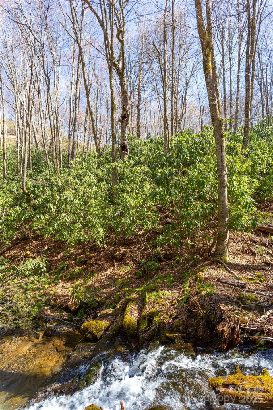 Lot 48c Bearwallow Ridge Trail #48c - Photo 4