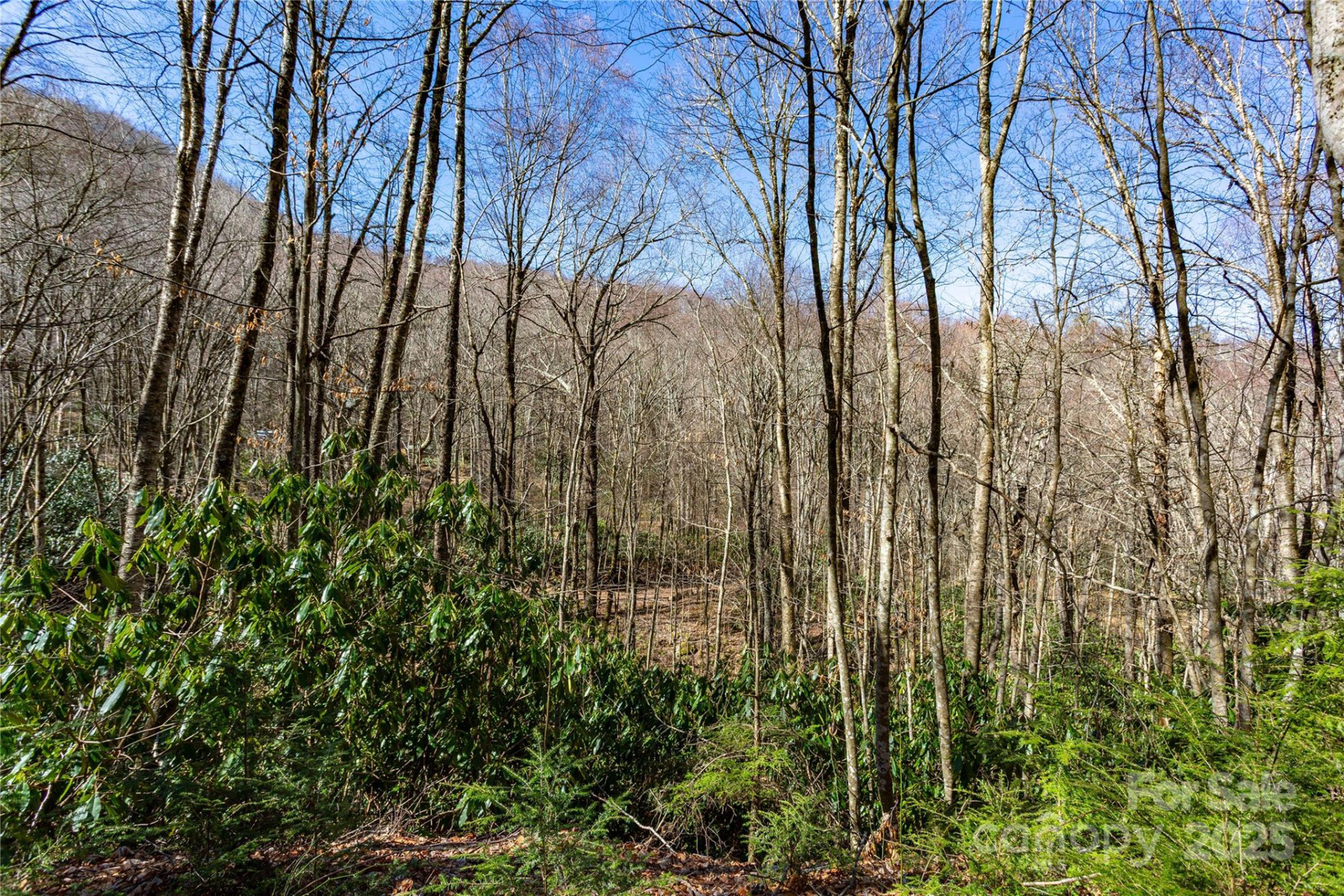 Lot 48c Bearwallow Ridge Trail #48c - Photo 31