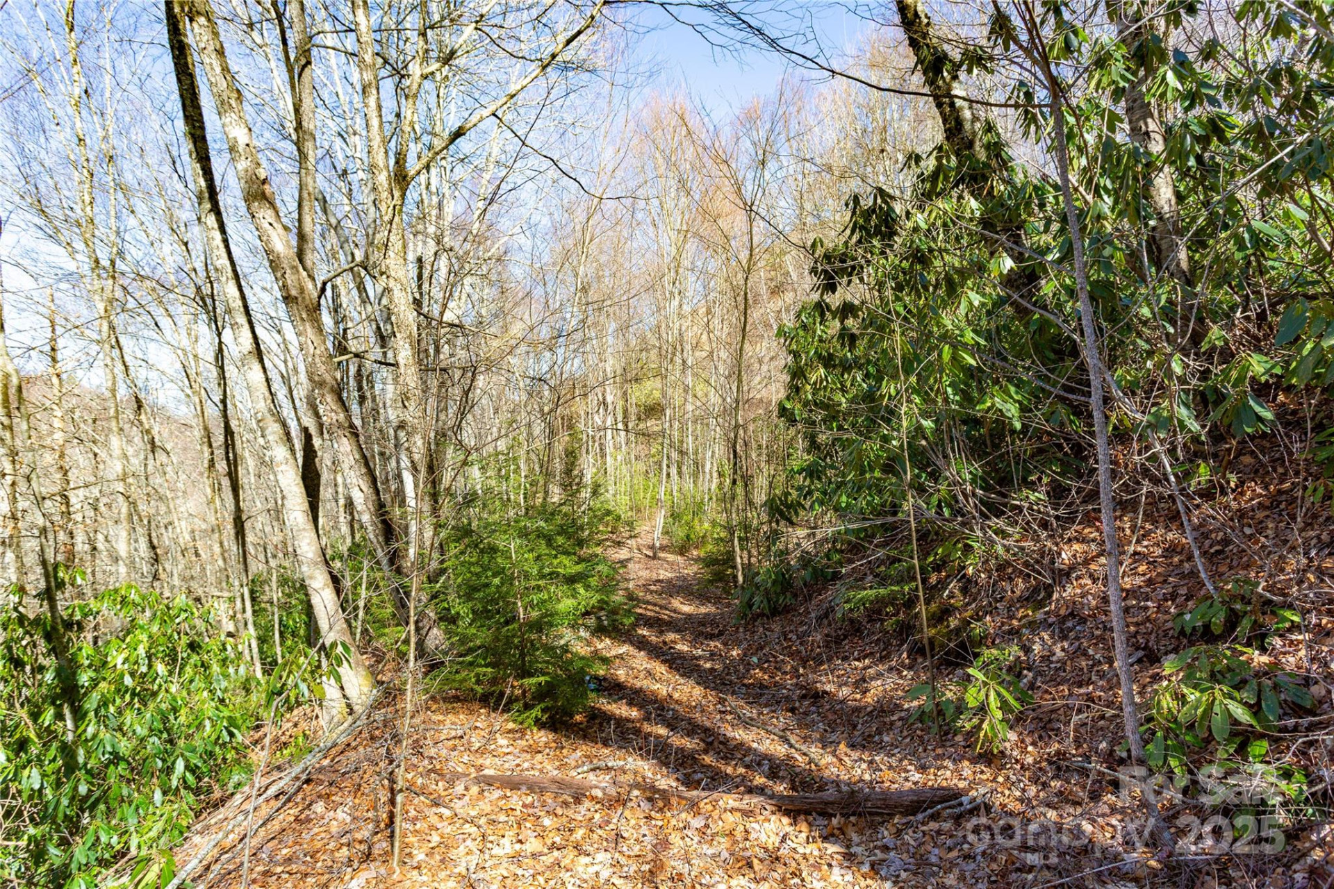 Lot 48c Bearwallow Ridge Trail #48c - Photo 32