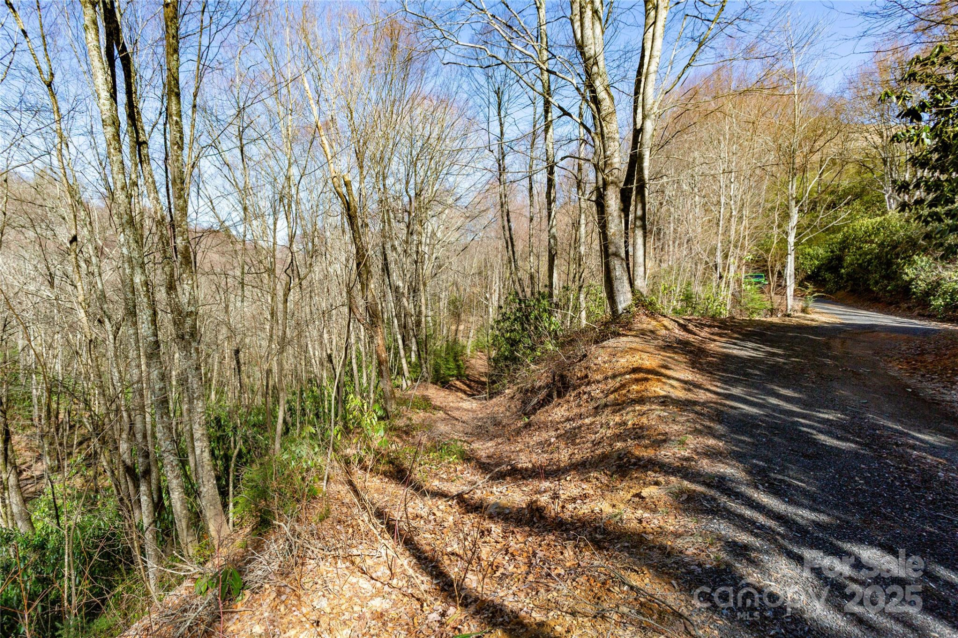 Lot 48c Bearwallow Ridge Trail #48c - Photo 35