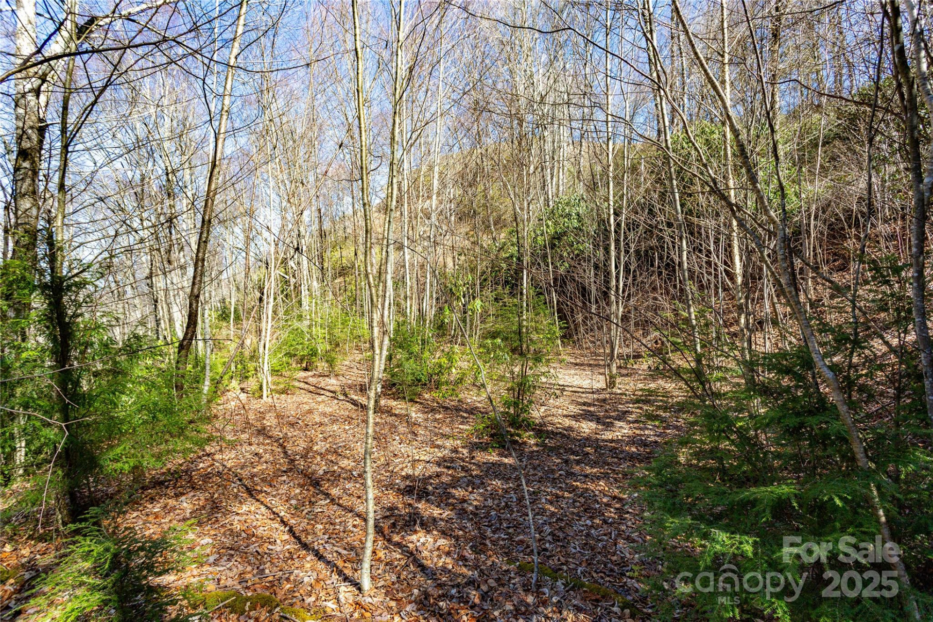 Lot 48c Bearwallow Ridge Trail #48c - Photo 36