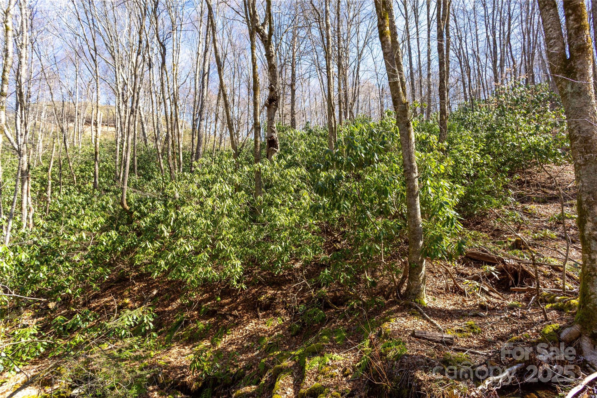 Lot 48c Bearwallow Ridge Trail #48c - Photo 5