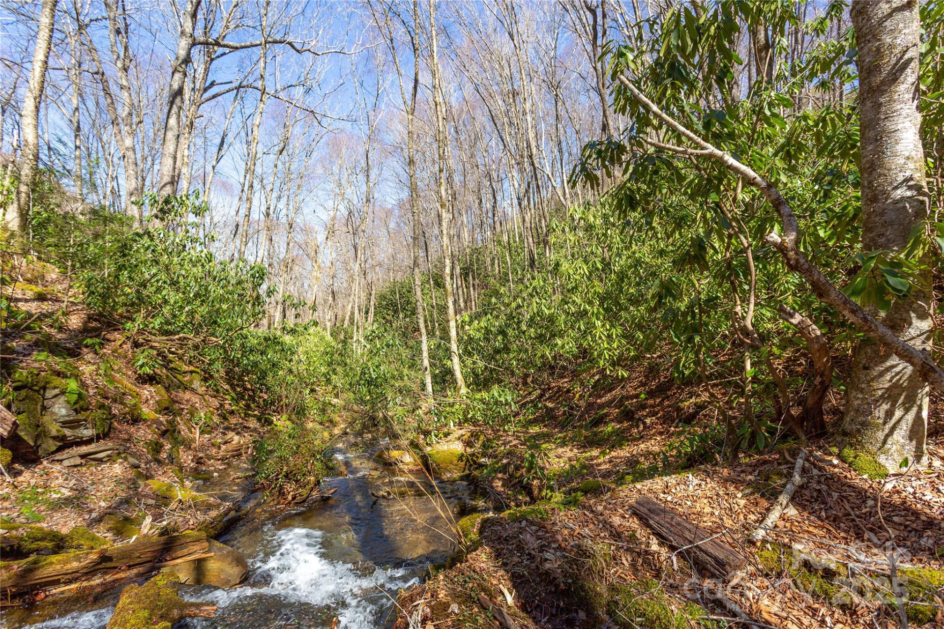 Lot 48c Bearwallow Ridge Trail #48c - Photo 6