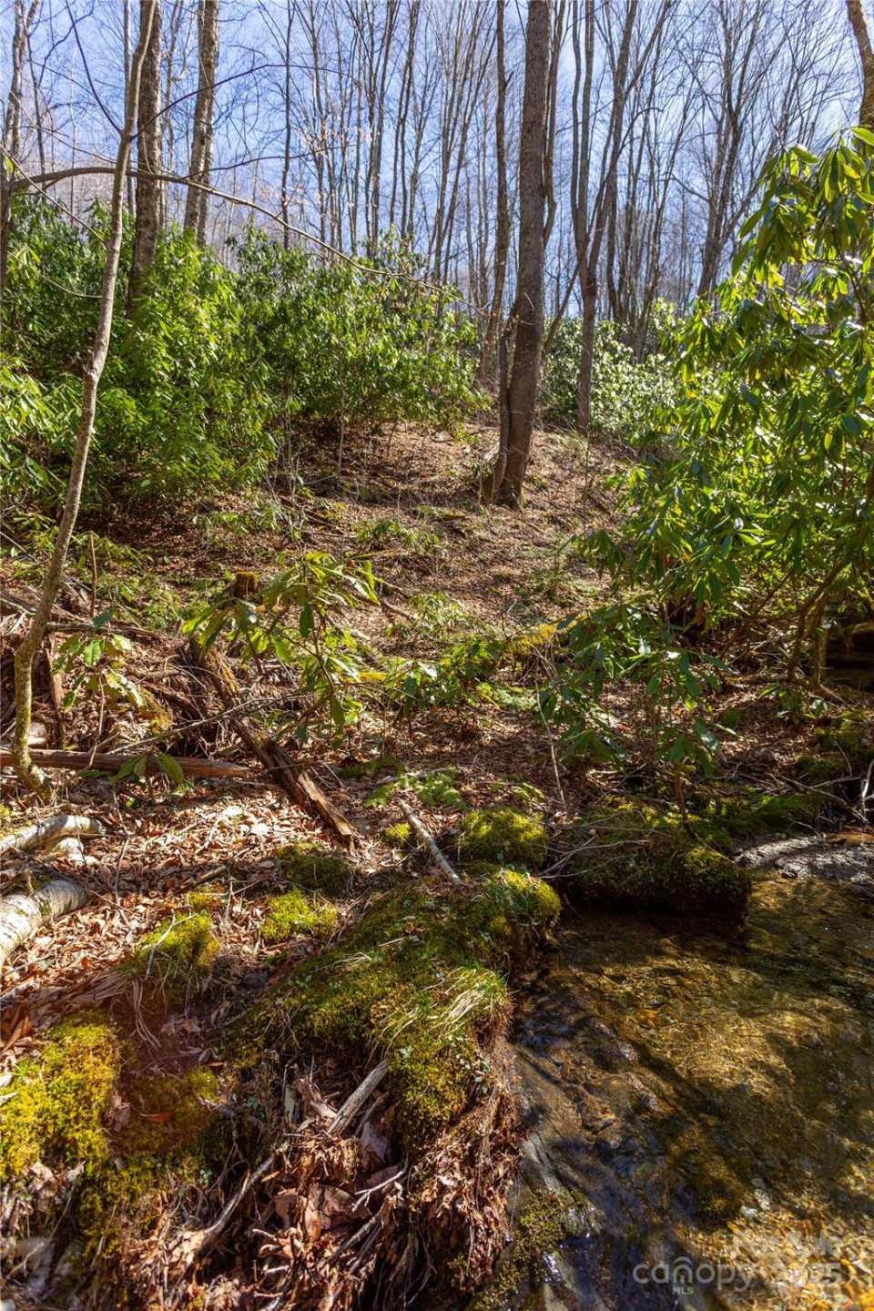 Lot 48c Bearwallow Ridge Trail #48c - Photo 7