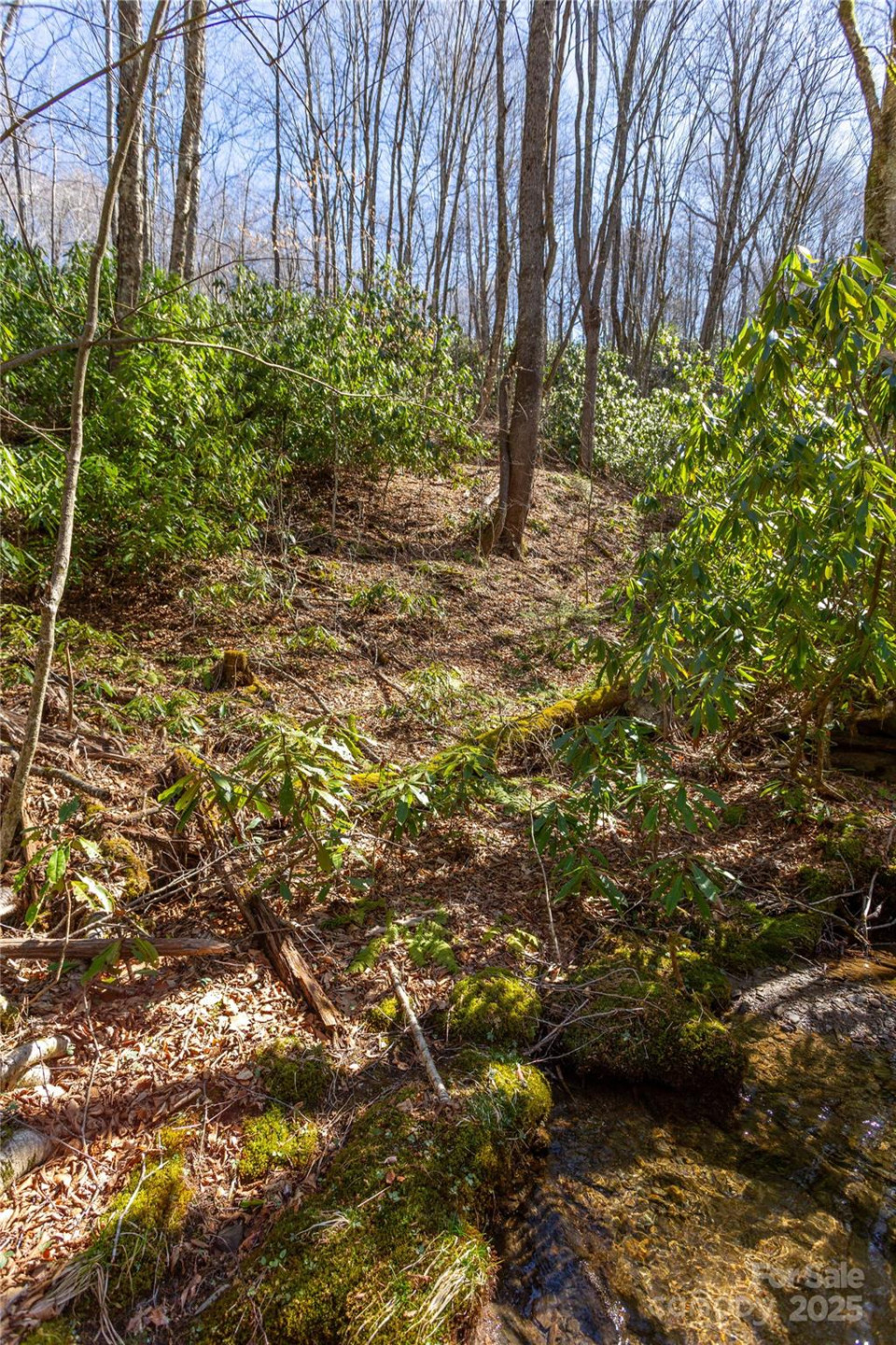 Lot 48c Bearwallow Ridge Trail #48c - Photo 8