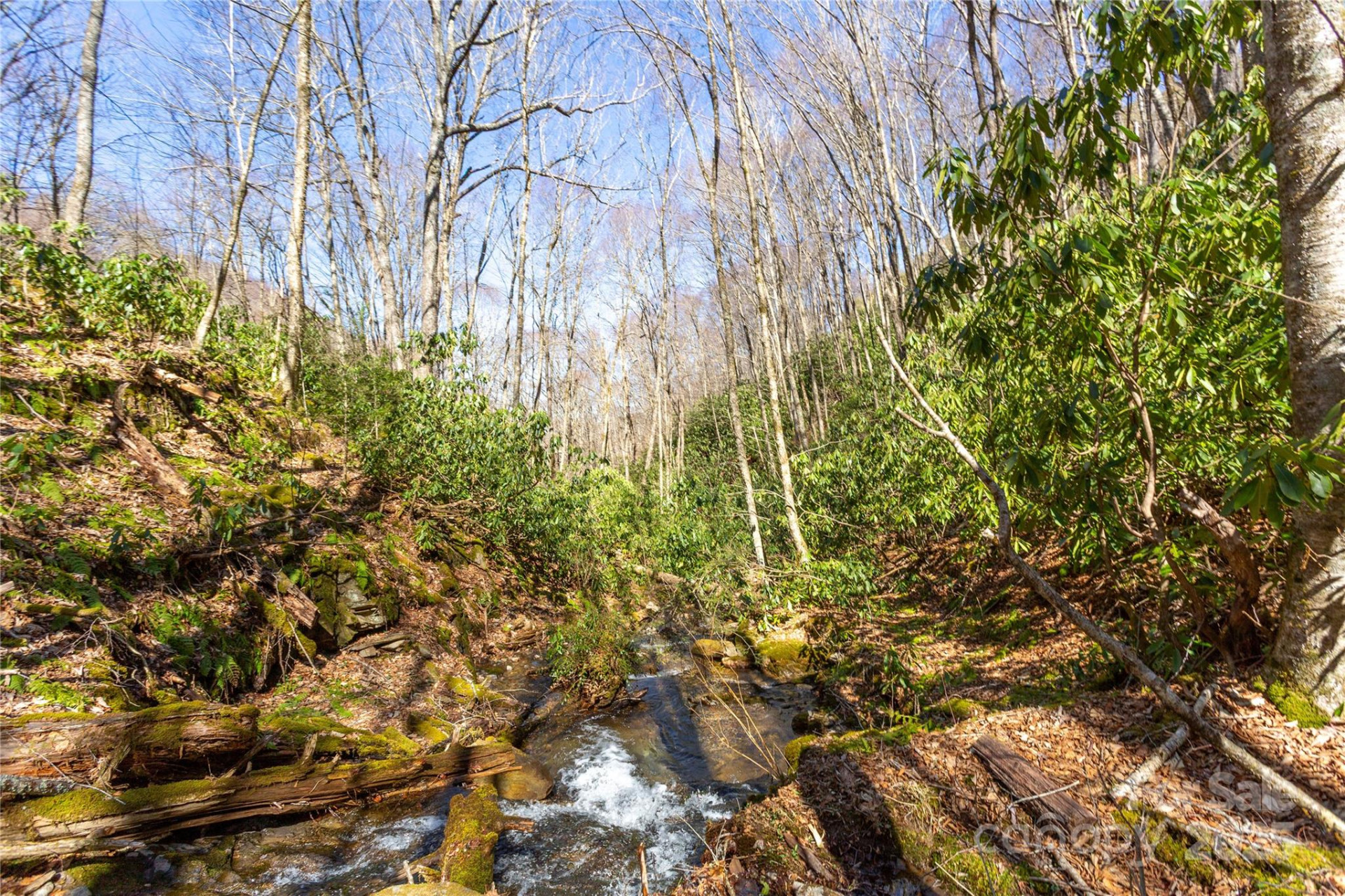 Lot 48c Bearwallow Ridge Trail #48c - Photo 9