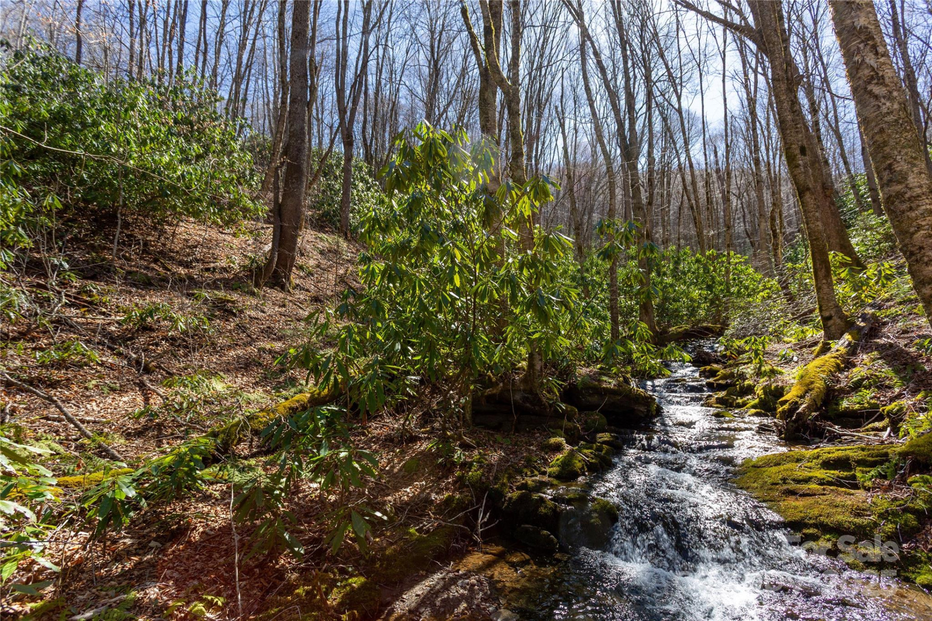 Lot 48c Bearwallow Ridge Trail #48c - Photo 10