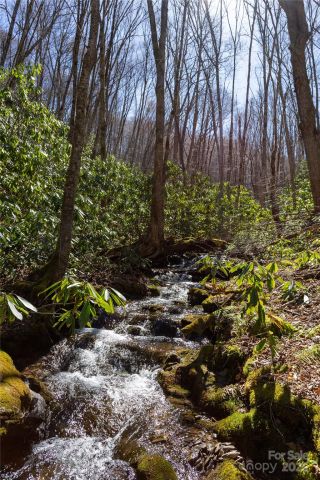 Lot 50 Bearwallow Ridge Trail, Qualla, NC, 28719