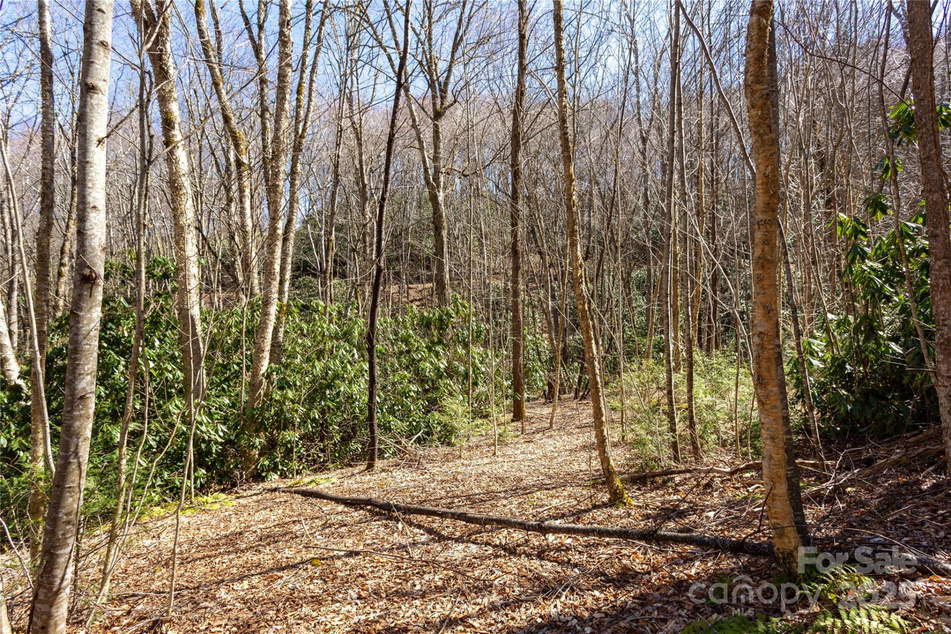 Lot 50 Bearwallow Ridge Trail #50 - Photo 12