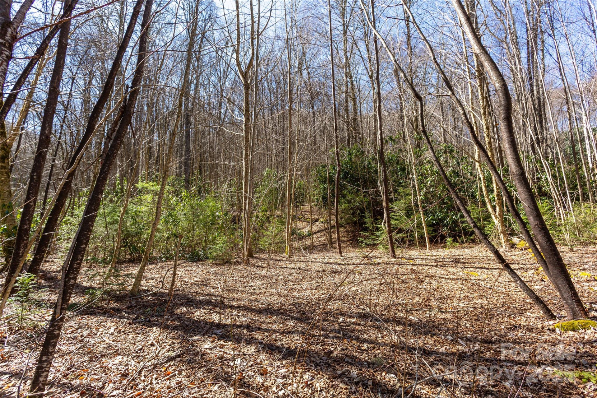 Lot 50 Bearwallow Ridge Trail #50 - Photo 13