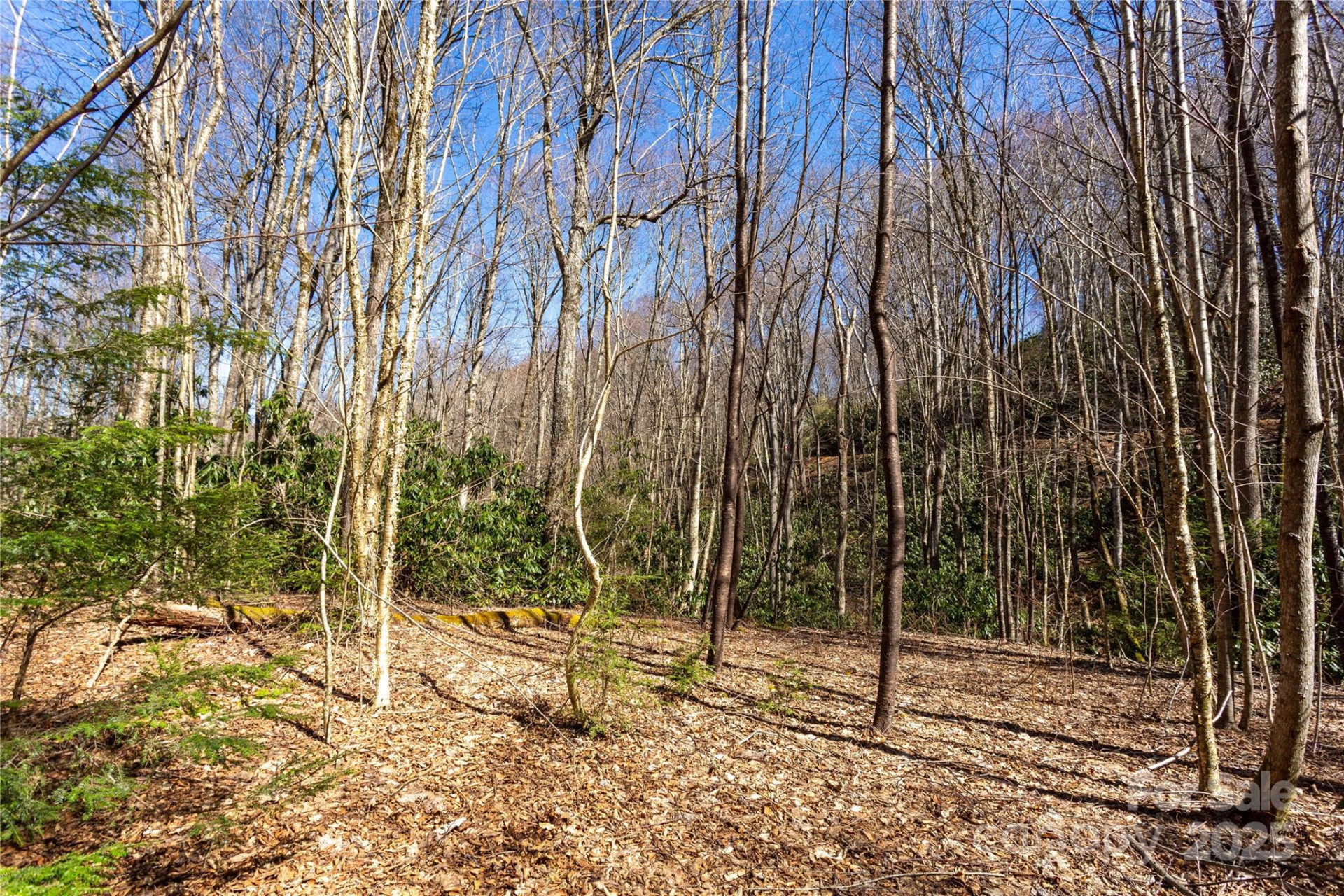 Lot 50 Bearwallow Ridge Trail #50 - Photo 14