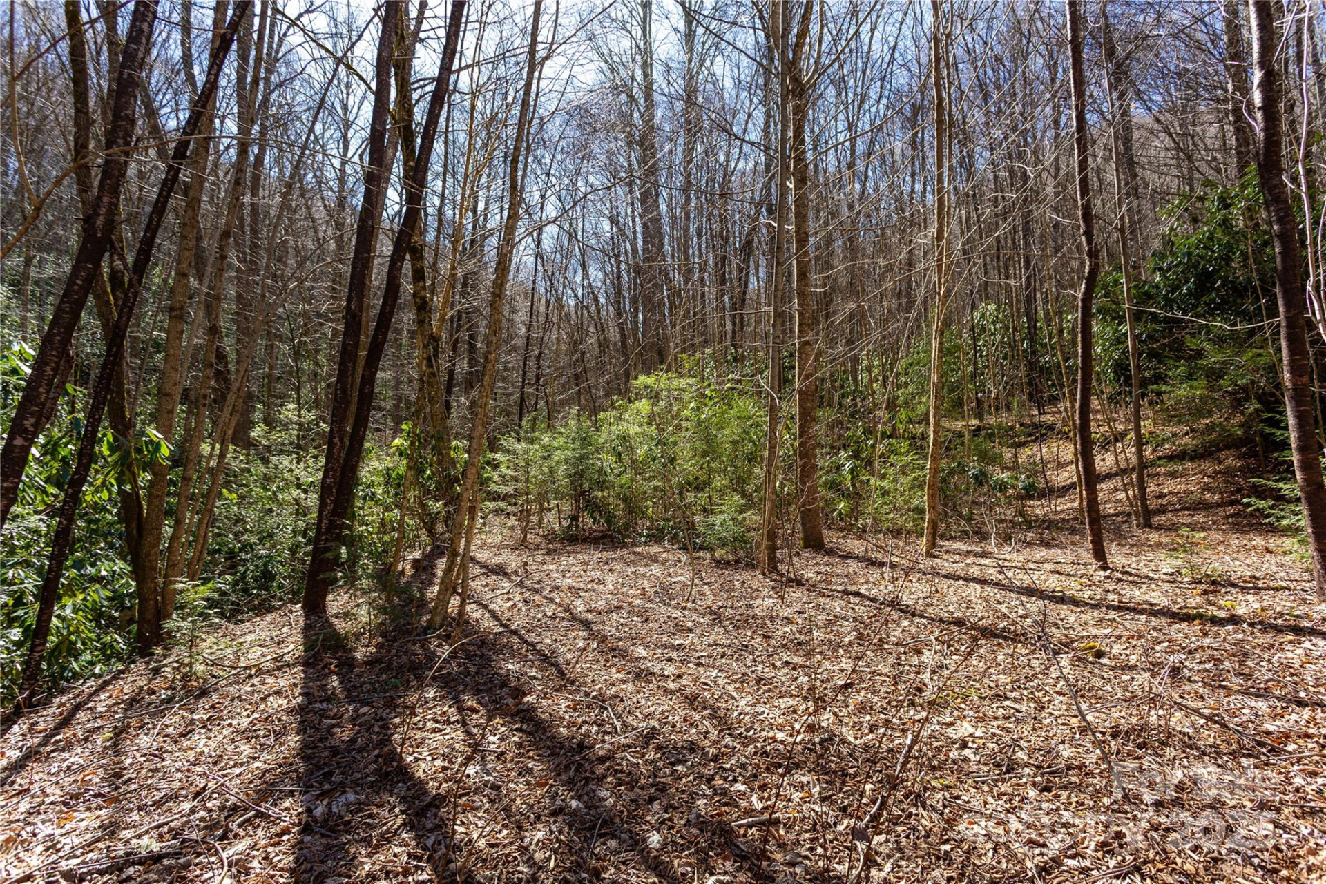 Lot 50 Bearwallow Ridge Trail #50 - Photo 15