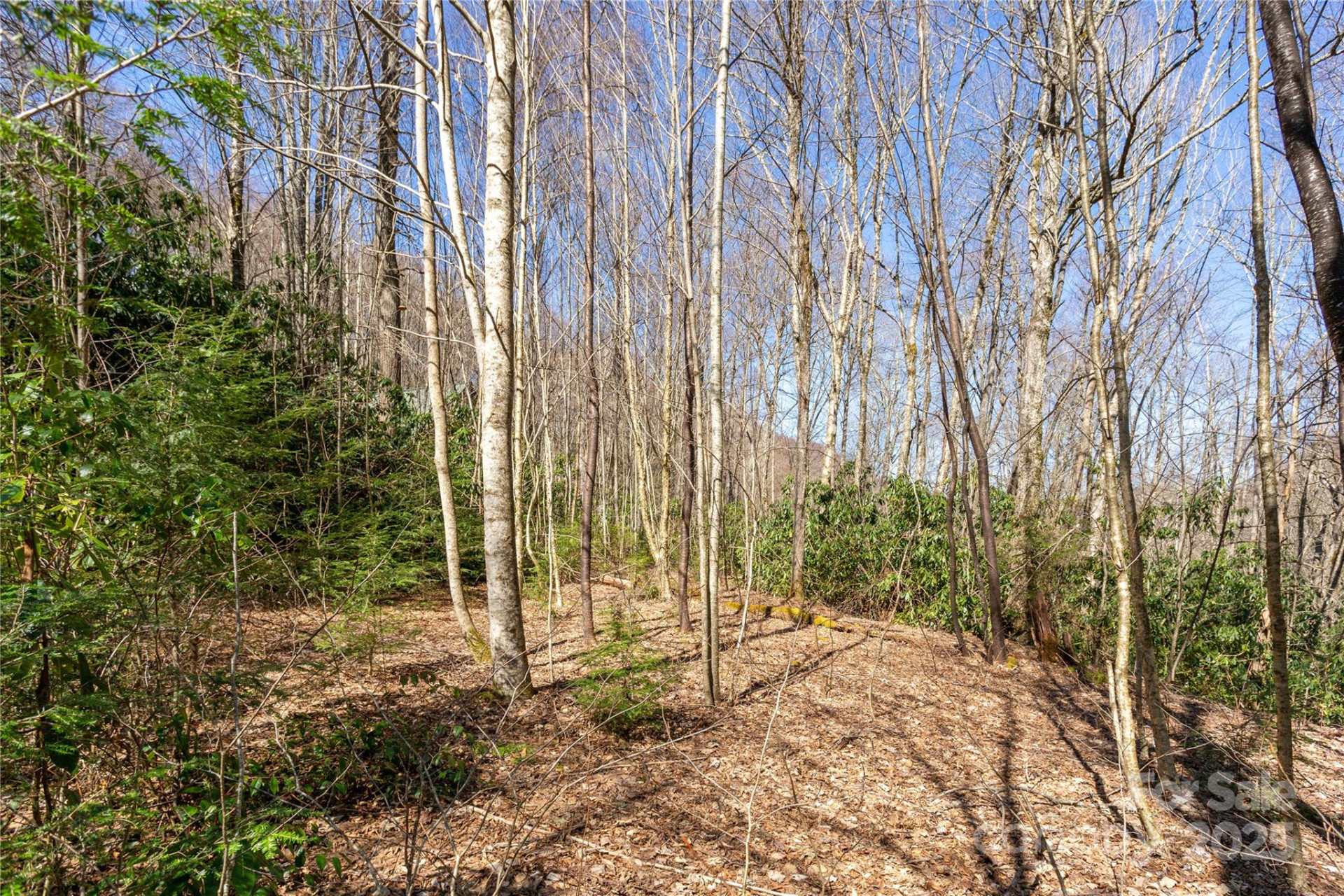 Lot 50 Bearwallow Ridge Trail #50 - Photo 17