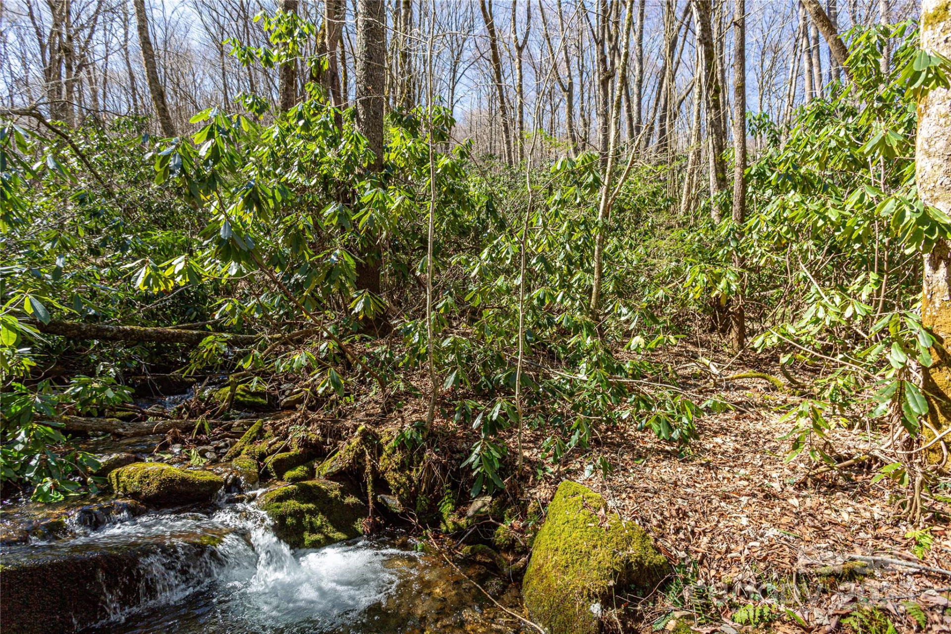 Lot 50 Bearwallow Ridge Trail #50 - Photo 25