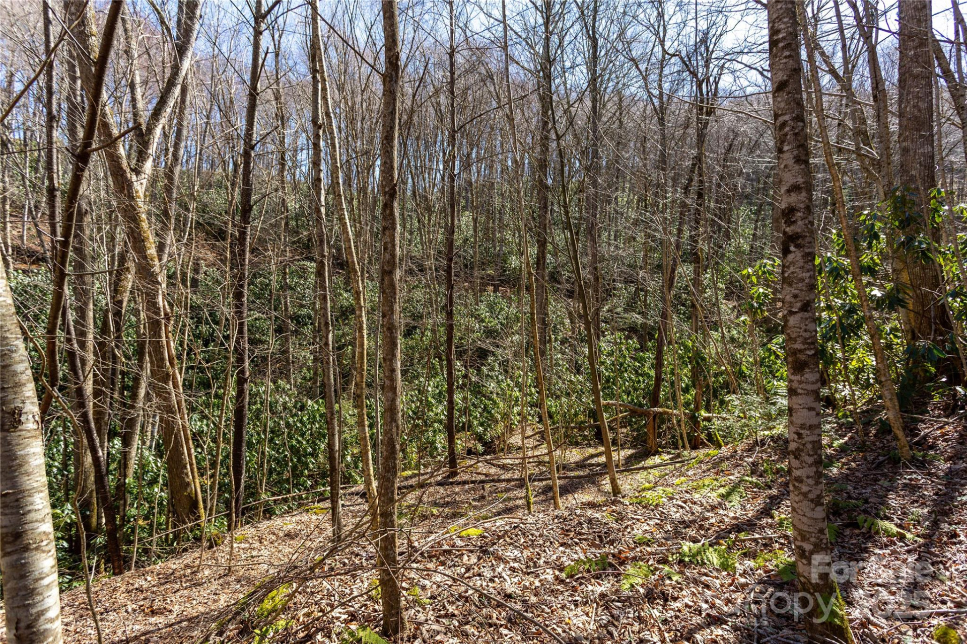 Lot 50 Bearwallow Ridge Trail #50 - Photo 26