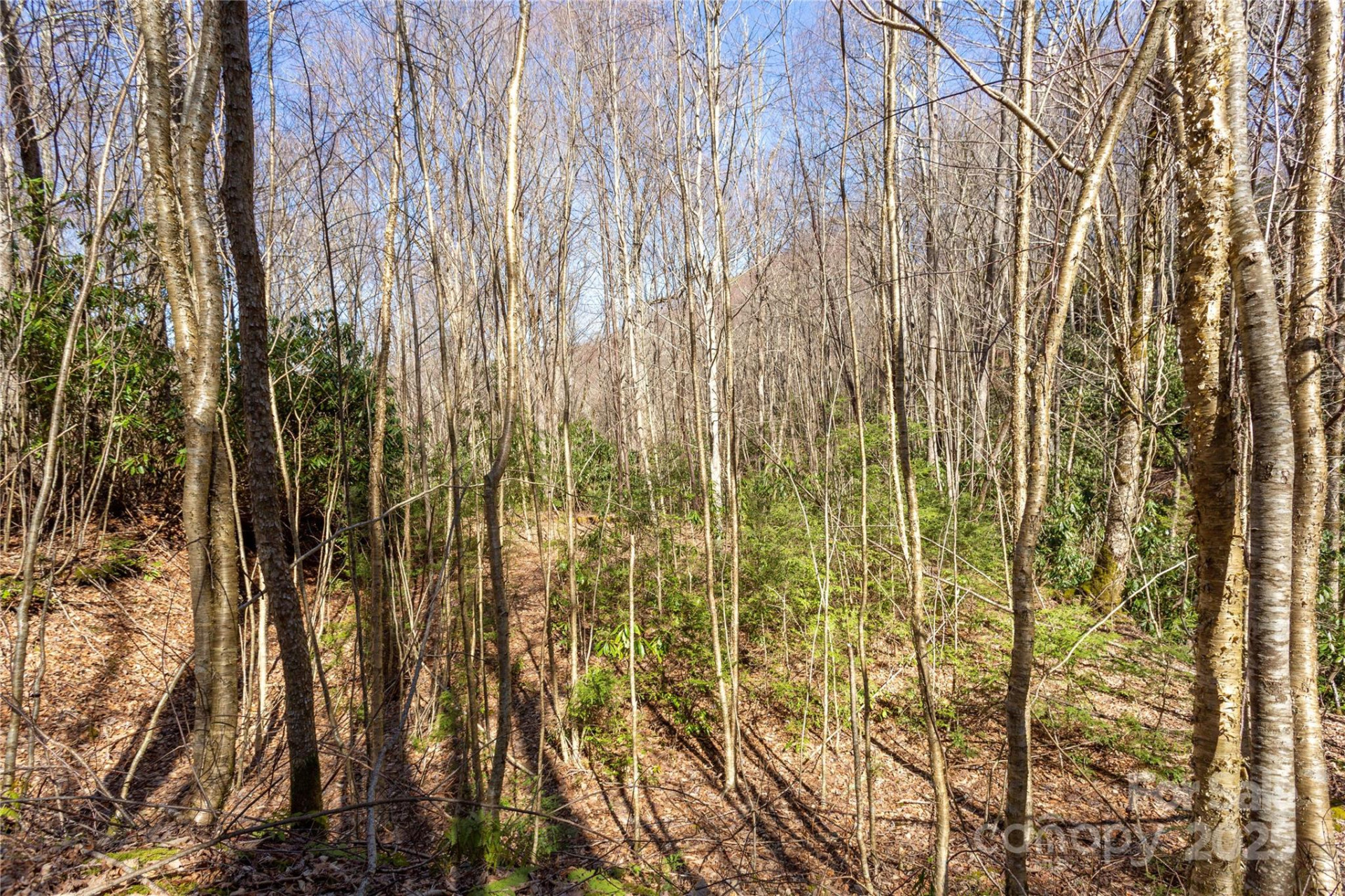 Lot 50 Bearwallow Ridge Trail #50 - Photo 27