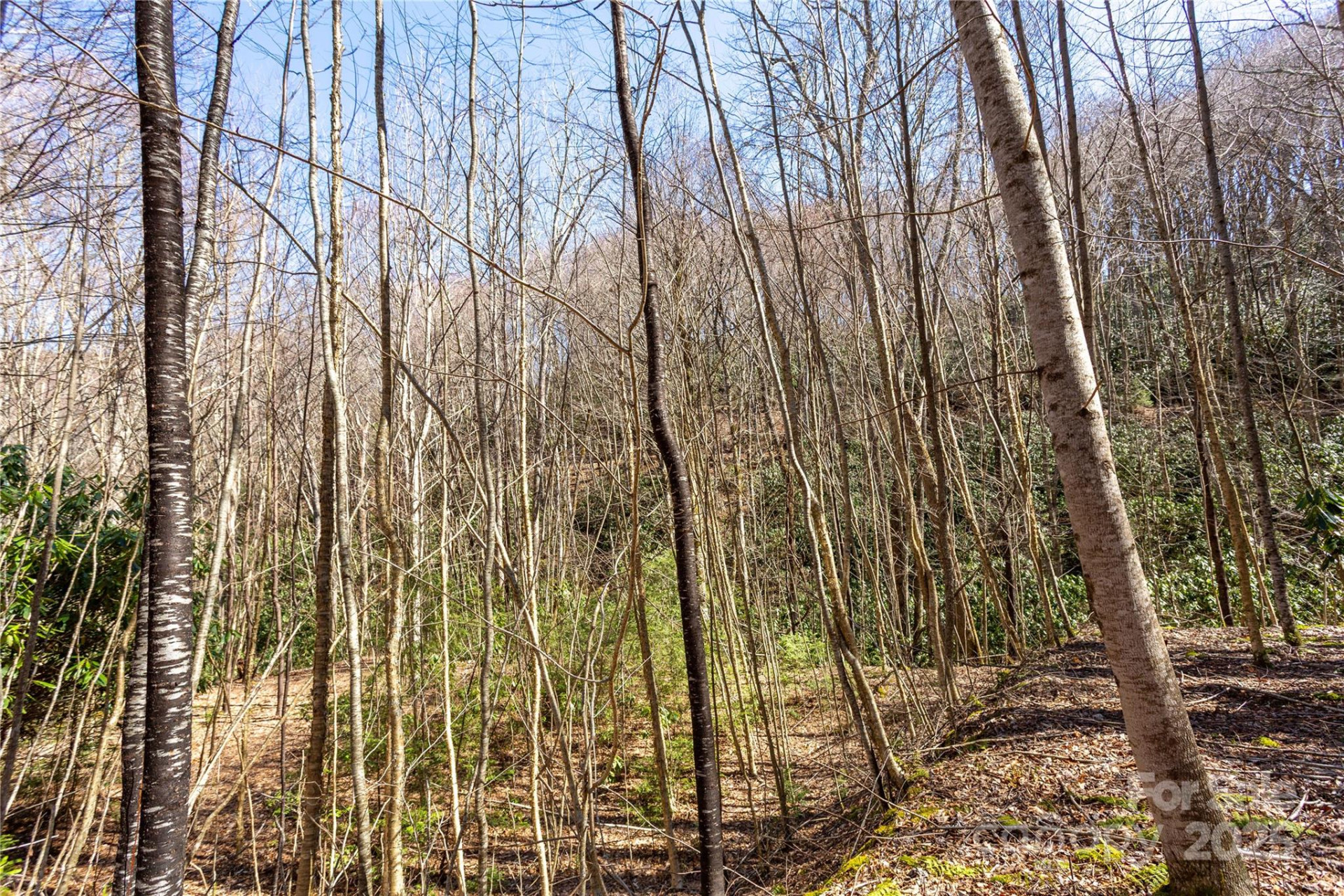 Lot 50 Bearwallow Ridge Trail #50 - Photo 28
