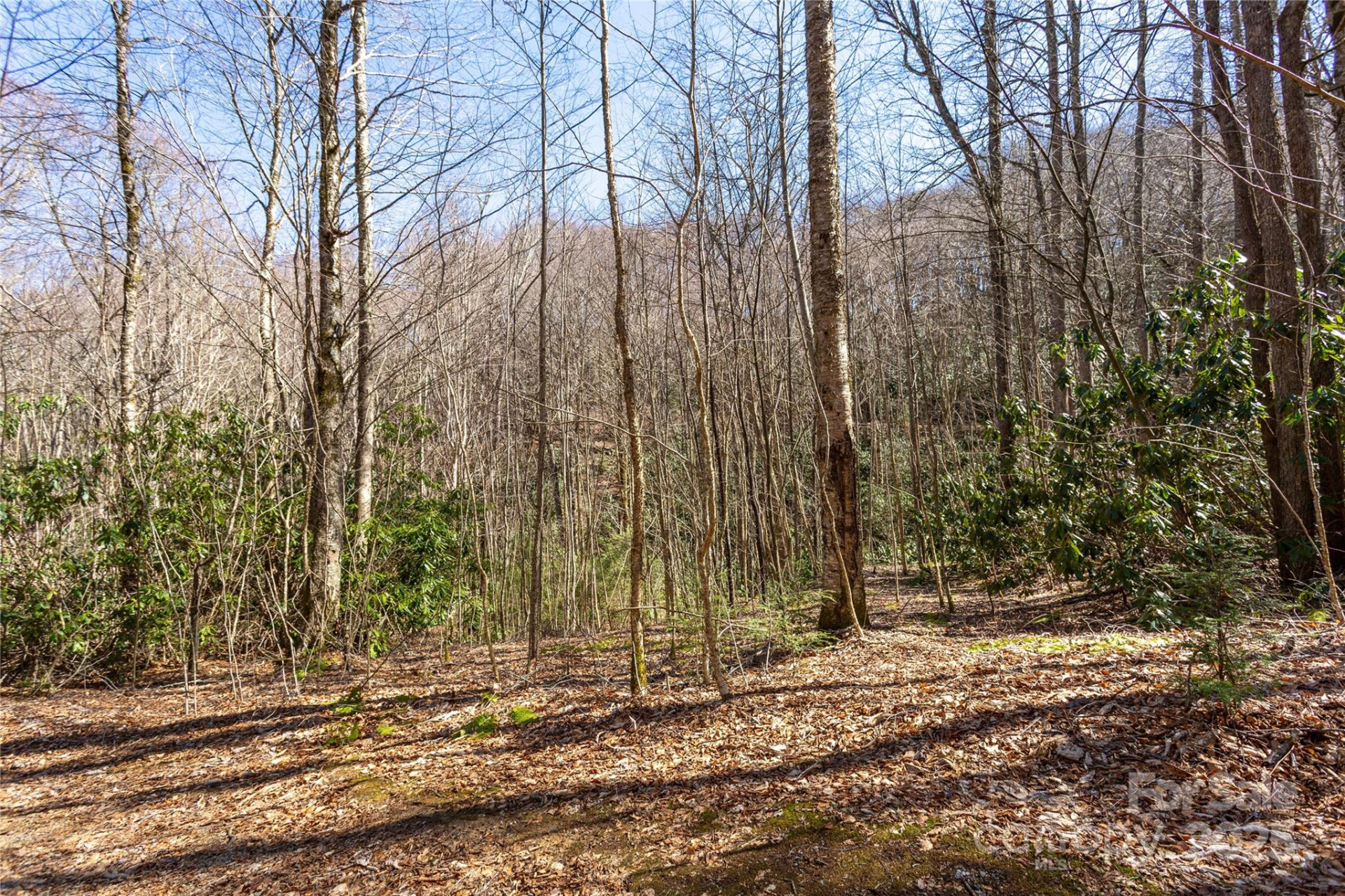 Lot 50 Bearwallow Ridge Trail #50 - Photo 29