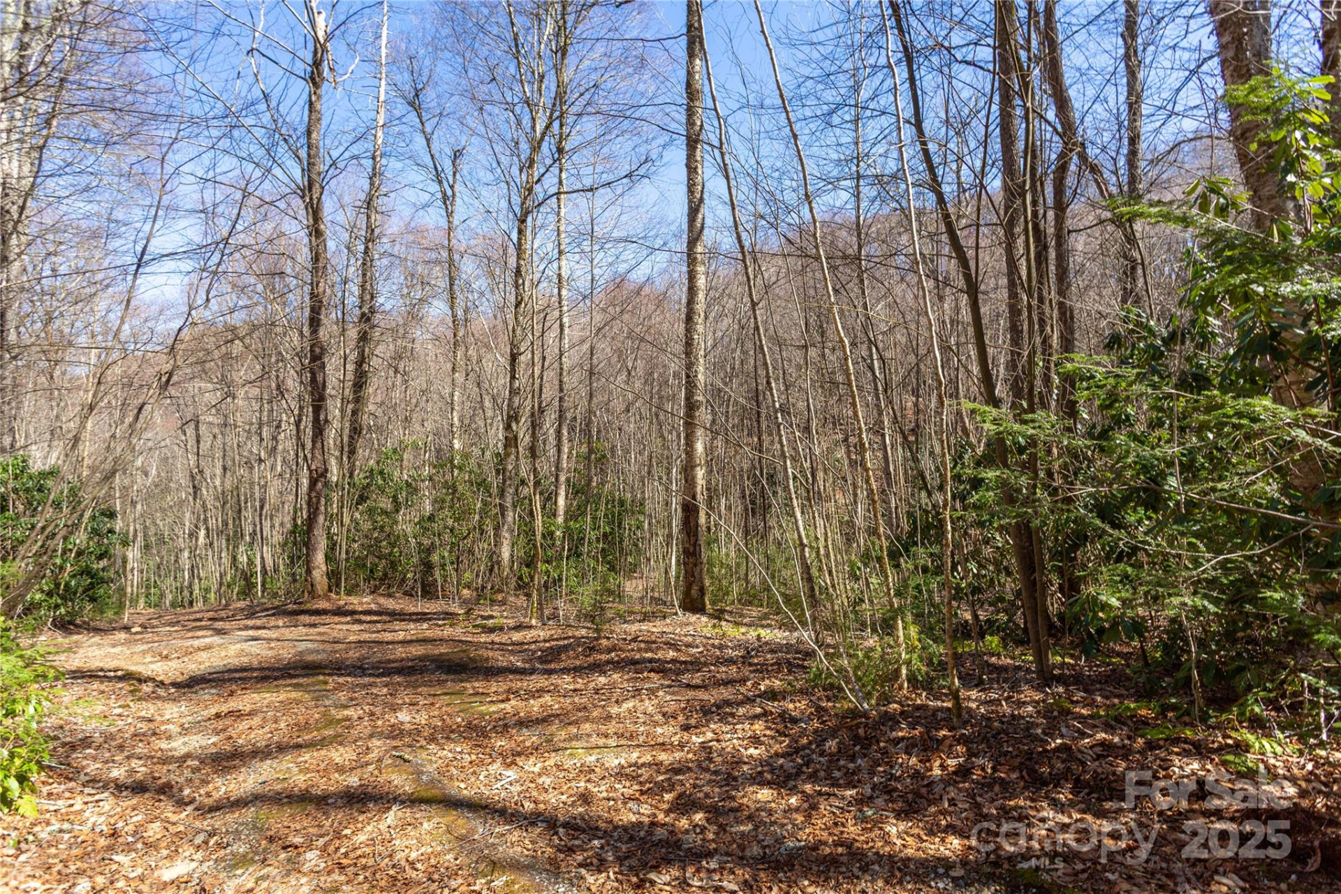 Lot 50 Bearwallow Ridge Trail #50 - Photo 30