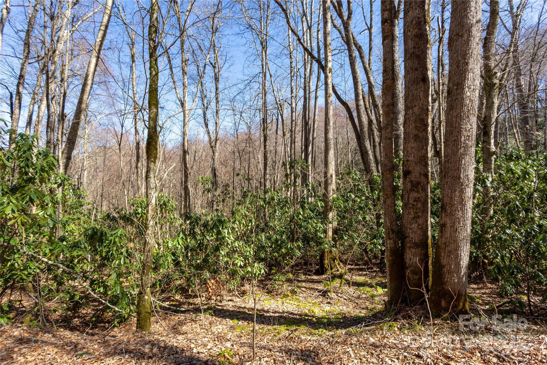Lot 50 Bearwallow Ridge Trail #50 - Photo 32