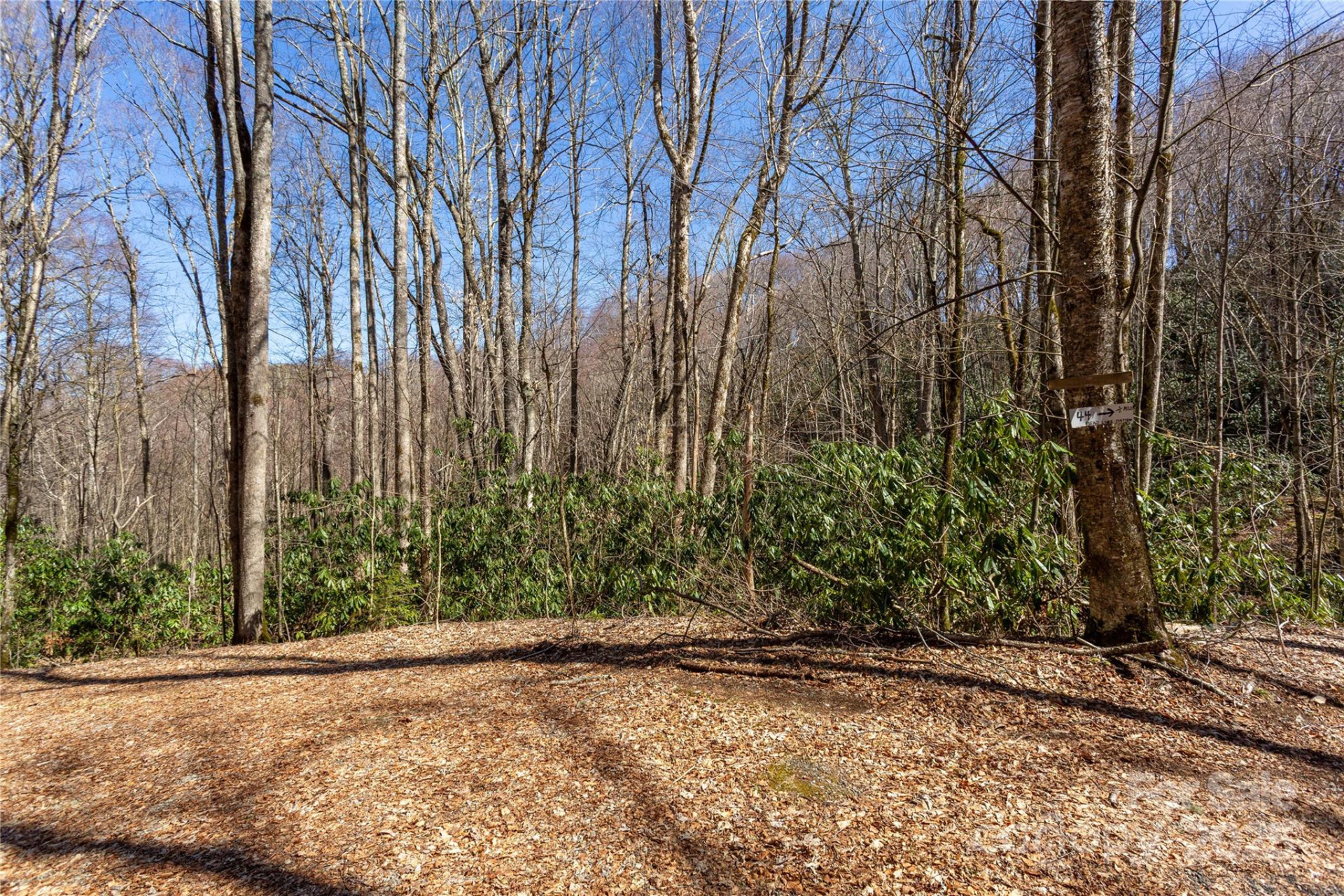 Lot 50 Bearwallow Ridge Trail #50 - Photo 33
