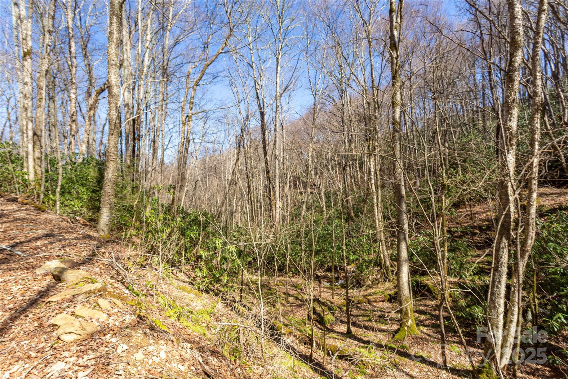 Lot 50 Bearwallow Ridge Trail #50 - Photo 34