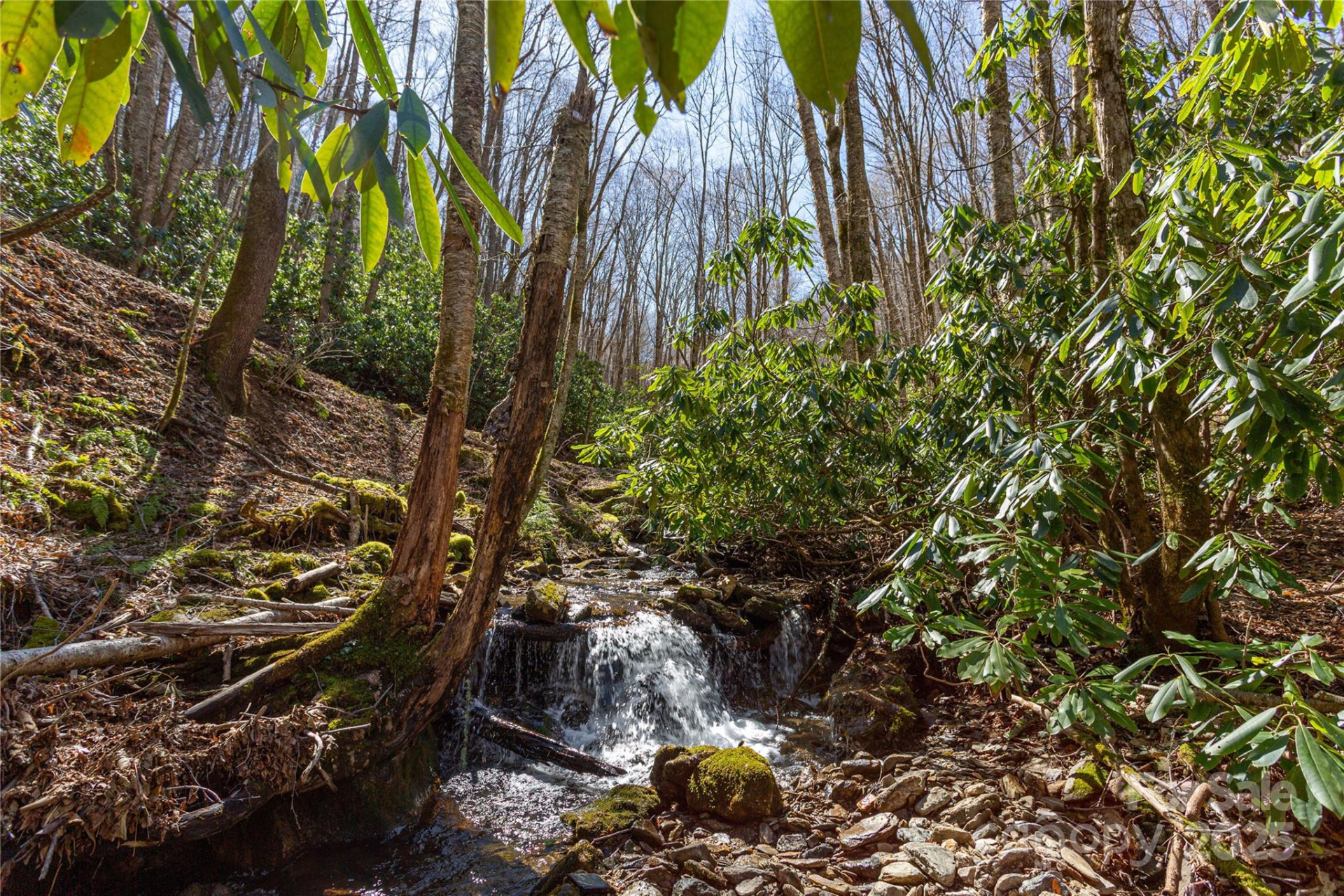 Lot 50 Bearwallow Ridge Trail #50 - Photo 35