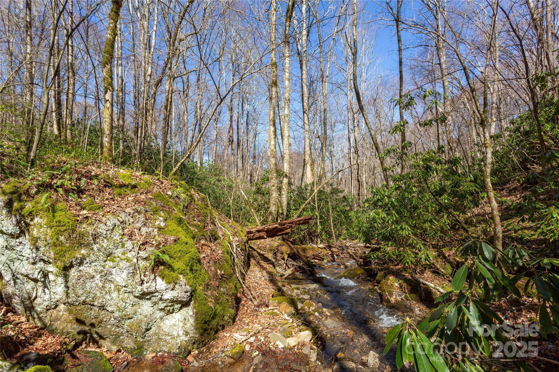 Lot 50 Bearwallow Ridge Trail #50 - Photo 36