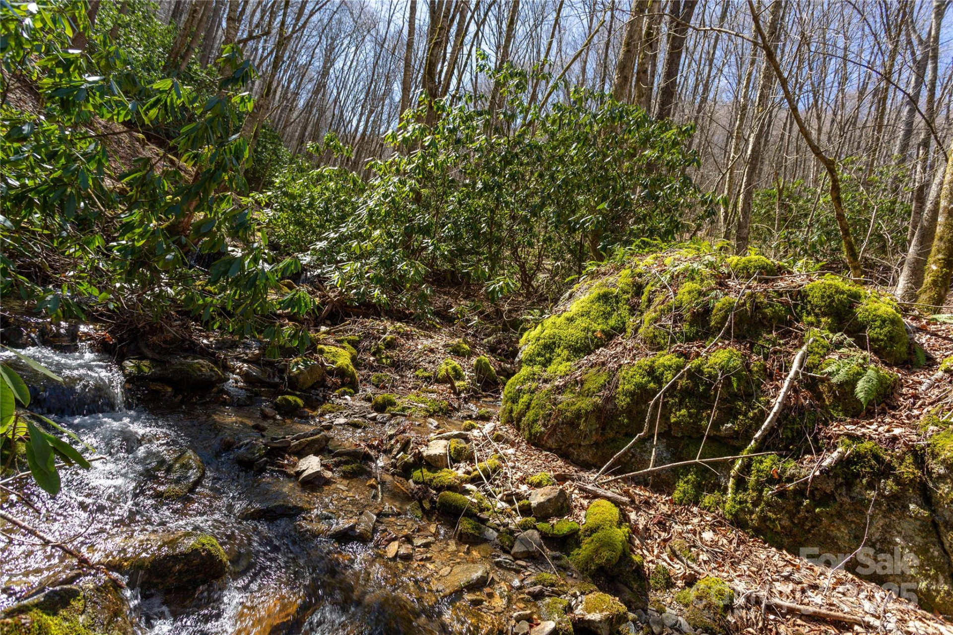 Lot 50 Bearwallow Ridge Trail #50 - Photo 37