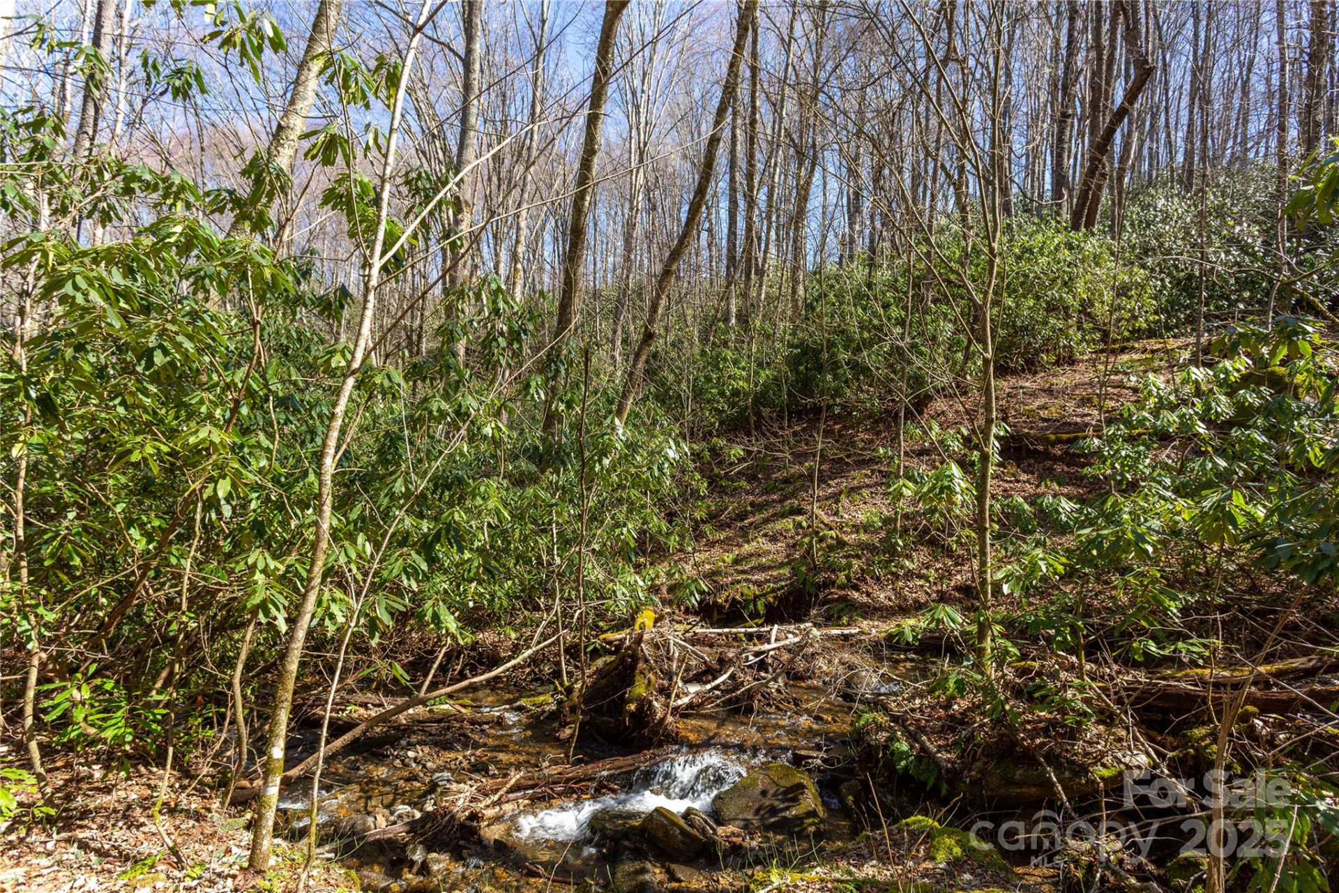 Lot 50 Bearwallow Ridge Trail #50 - Photo 38