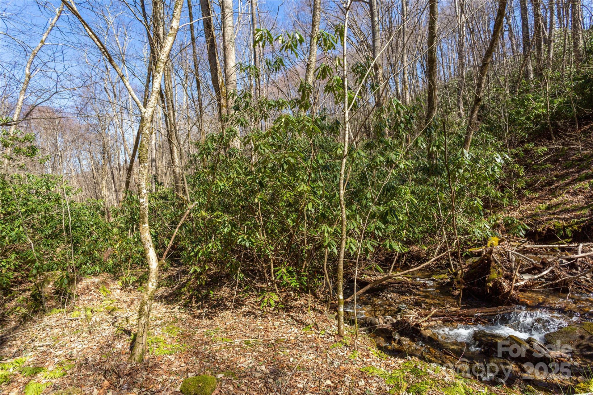 Lot 50 Bearwallow Ridge Trail #50 - Photo 39