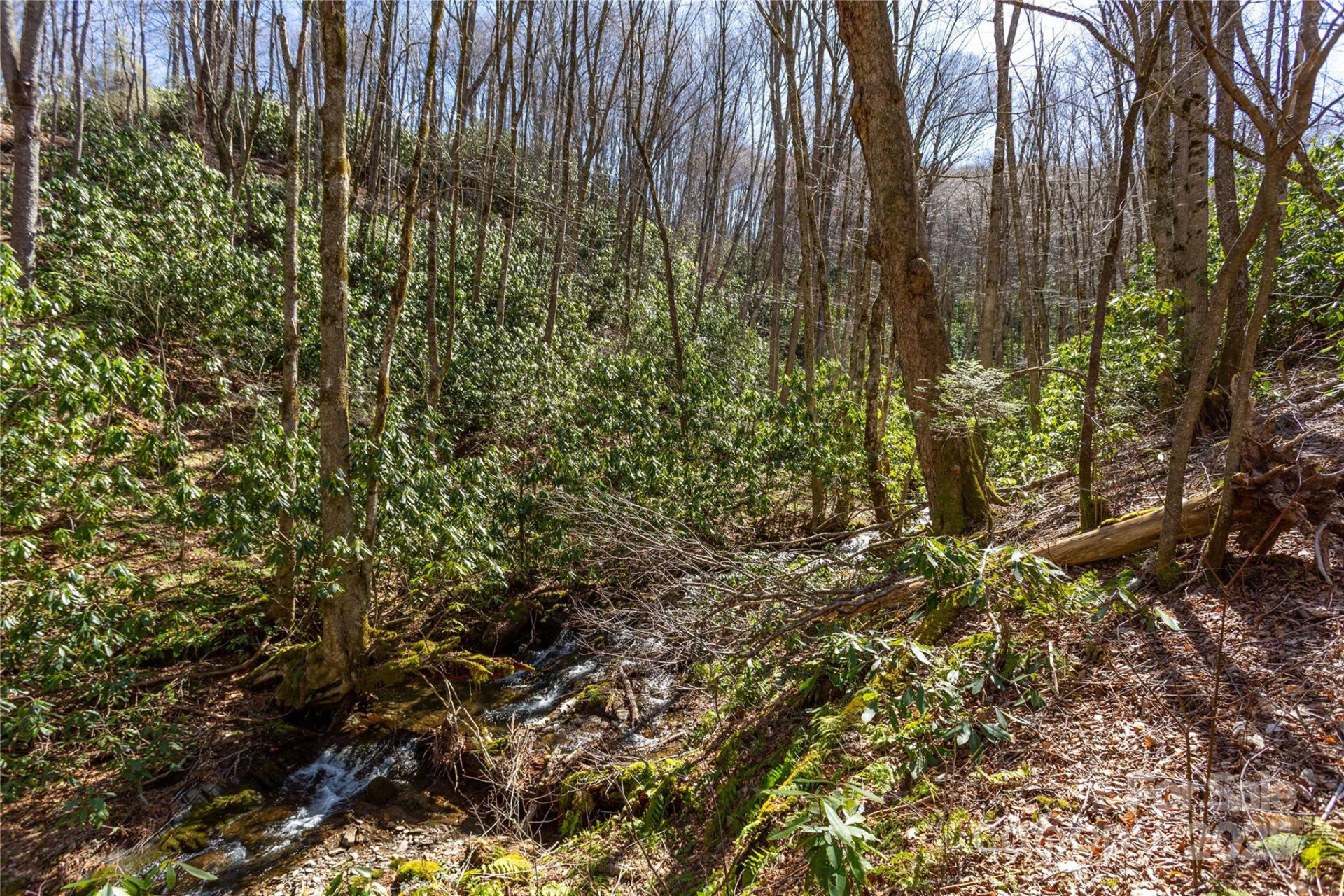 Lot 50 Bearwallow Ridge Trail #50 - Photo 7