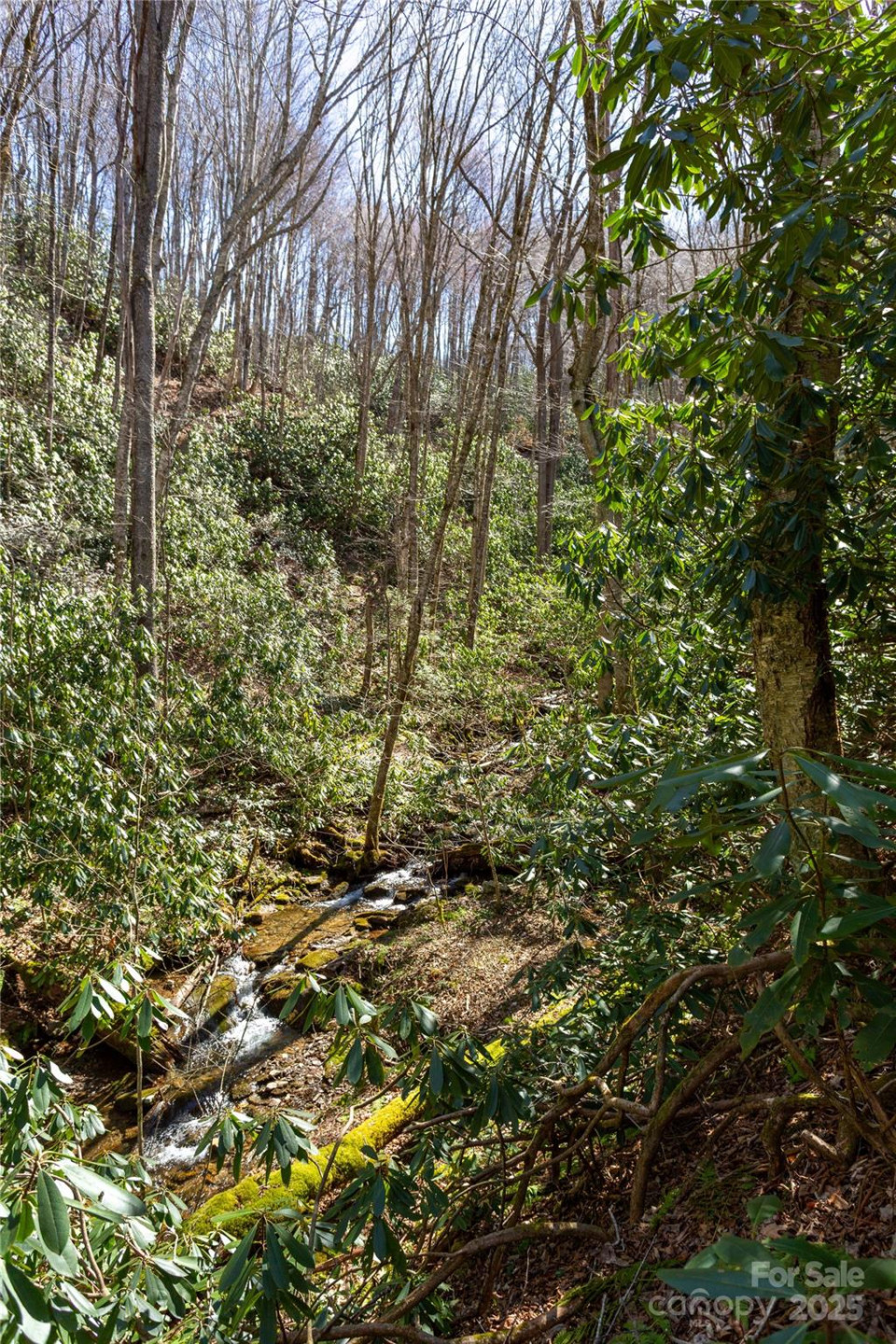 Lot 50 Bearwallow Ridge Trail #50 - Photo 8