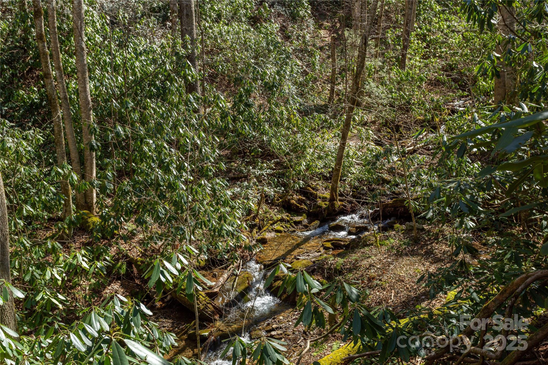 Lot 50 Bearwallow Ridge Trail #50 - Photo 9