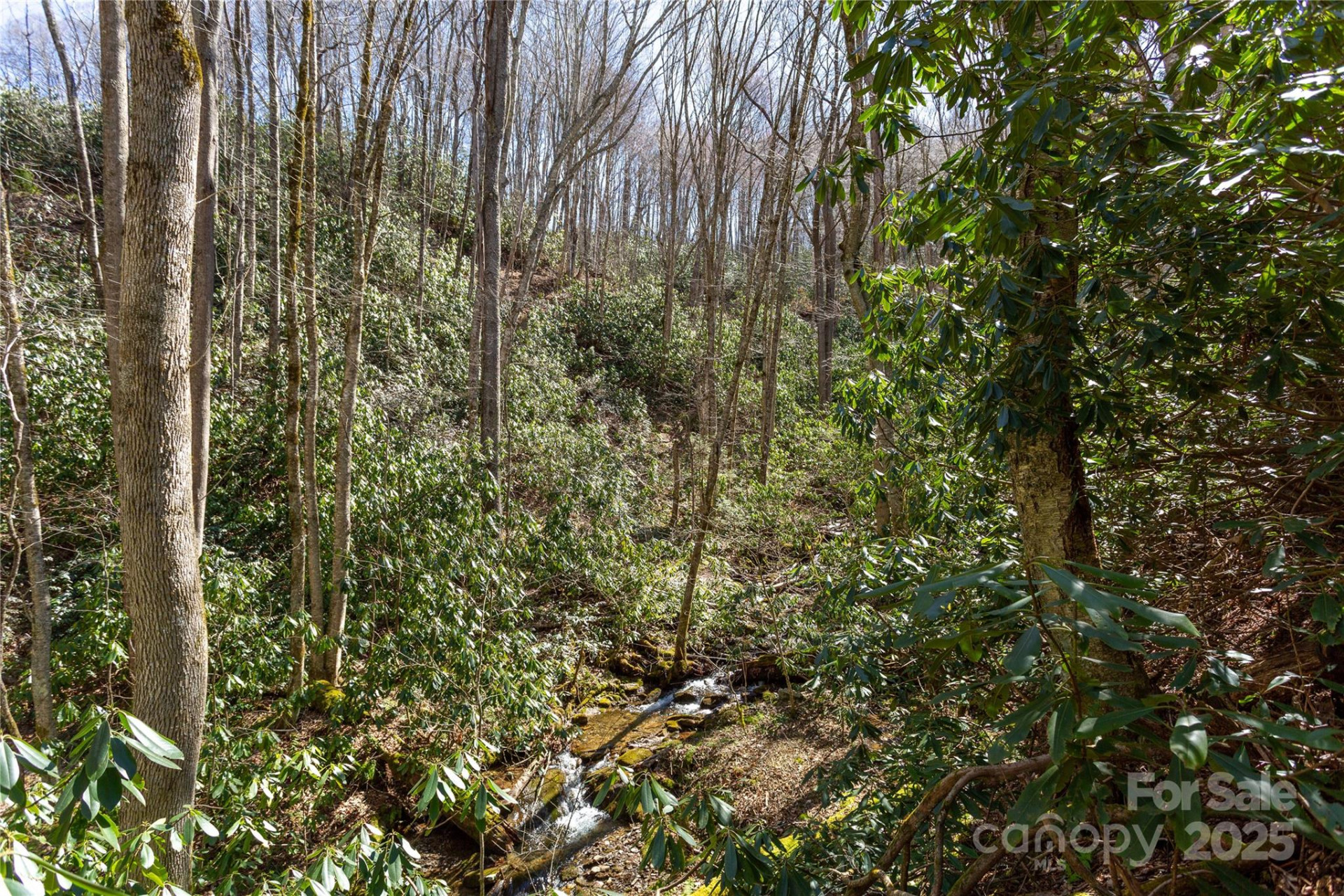Lot 50 Bearwallow Ridge Trail #50 - Photo 10