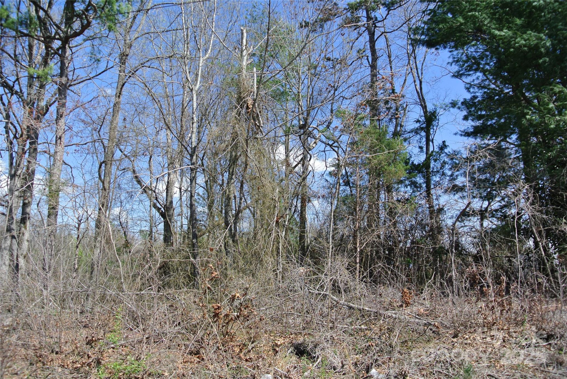 0 Hudlow Road - Photo 4