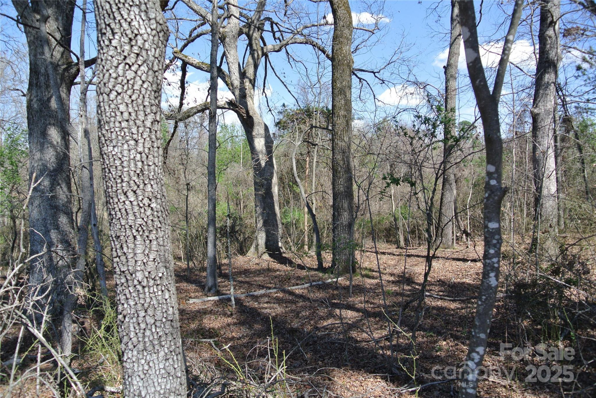 0 Hudlow Road - Photo 8