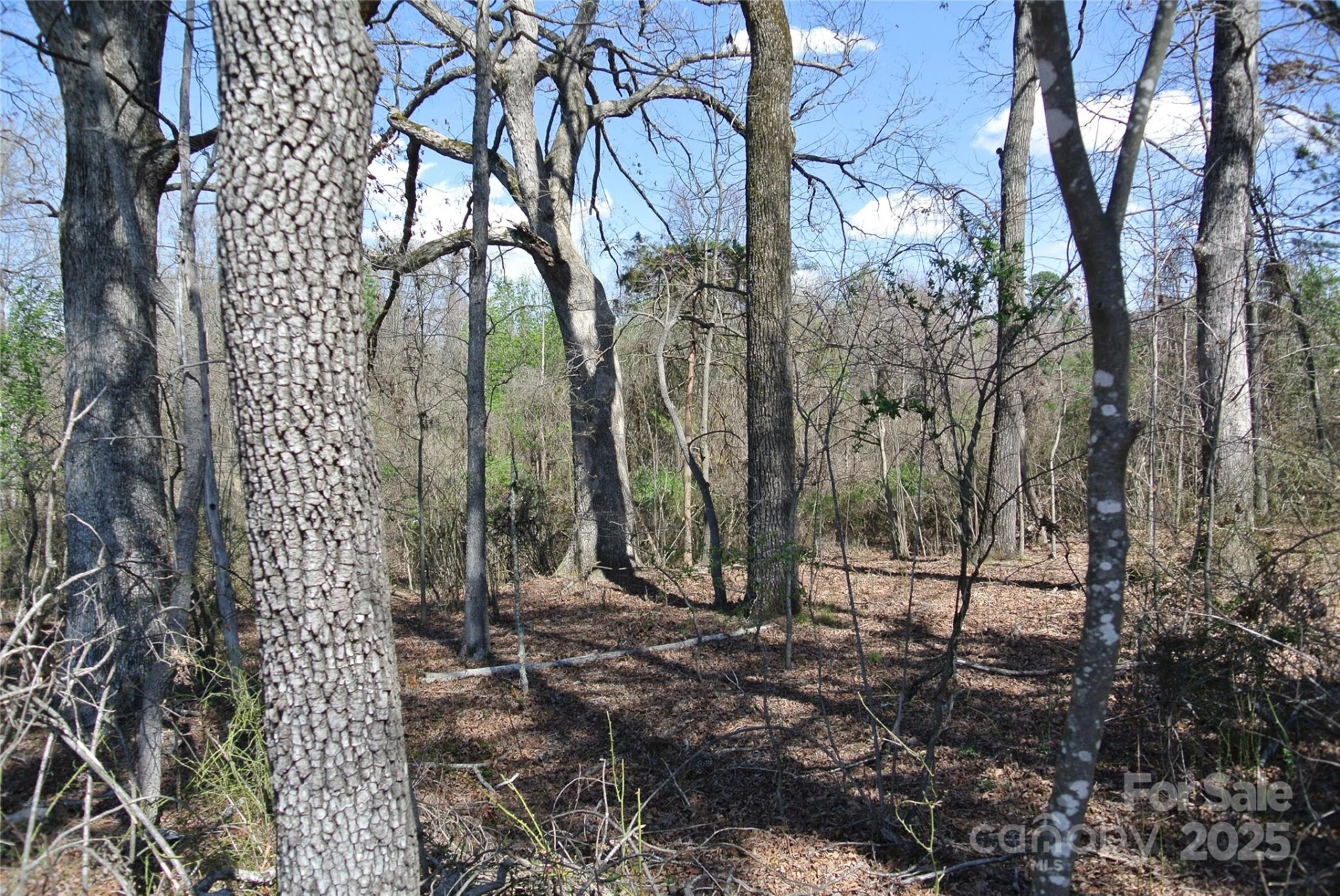 0 Hudlow Road - Photo 8