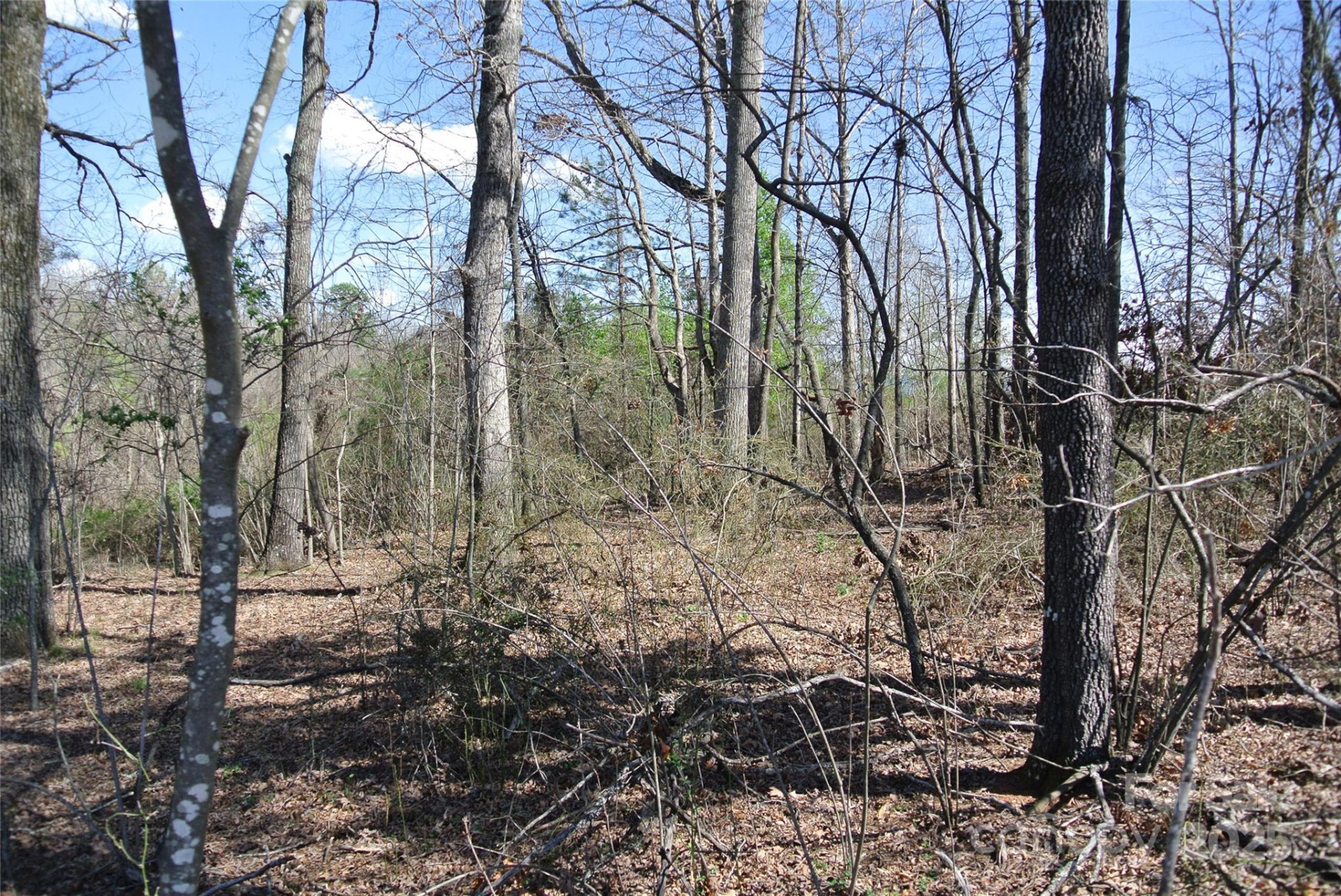 0 Hudlow Road - Photo 9